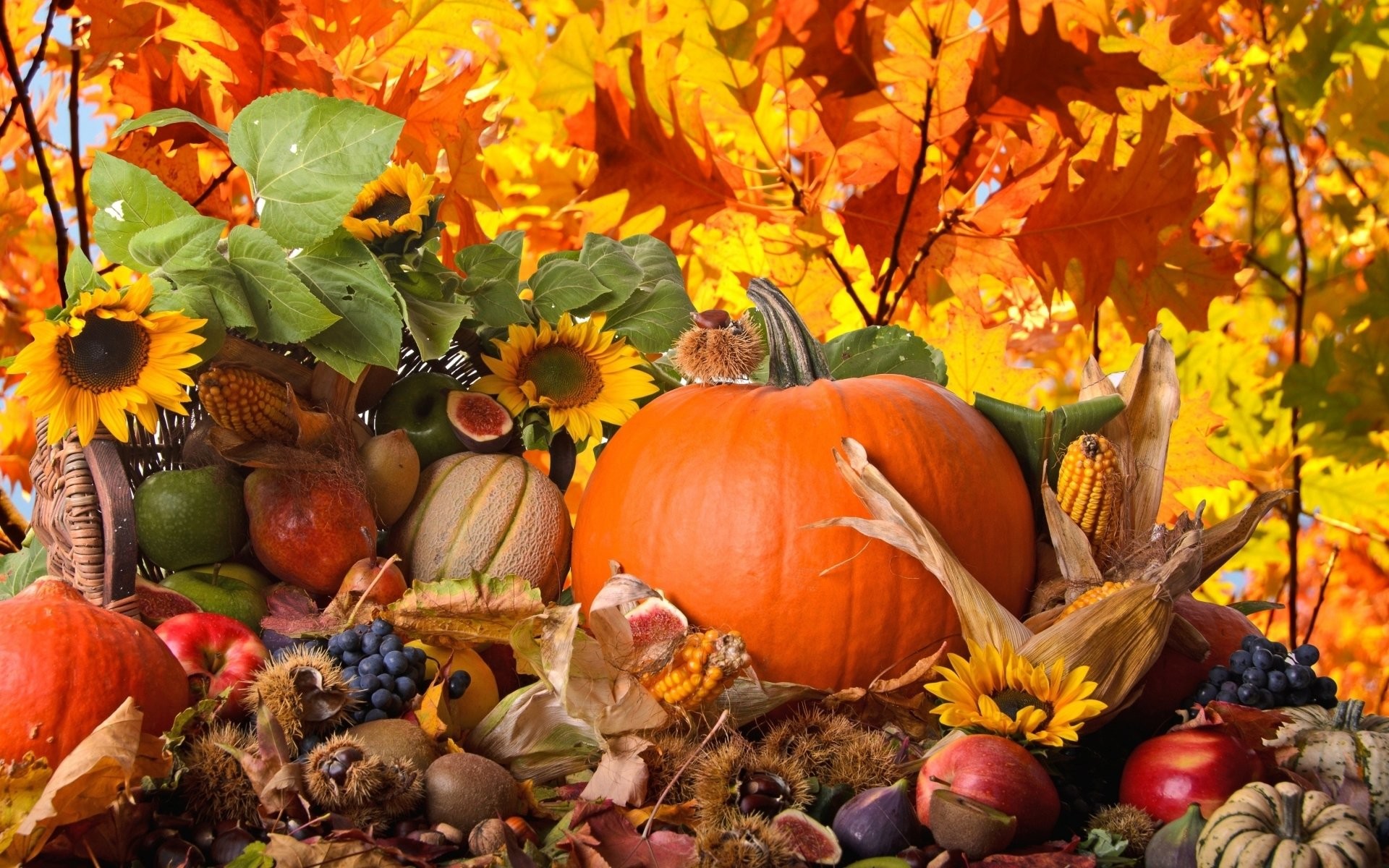 HD Wallpaper Background ID314211. Holiday Thanksgiving