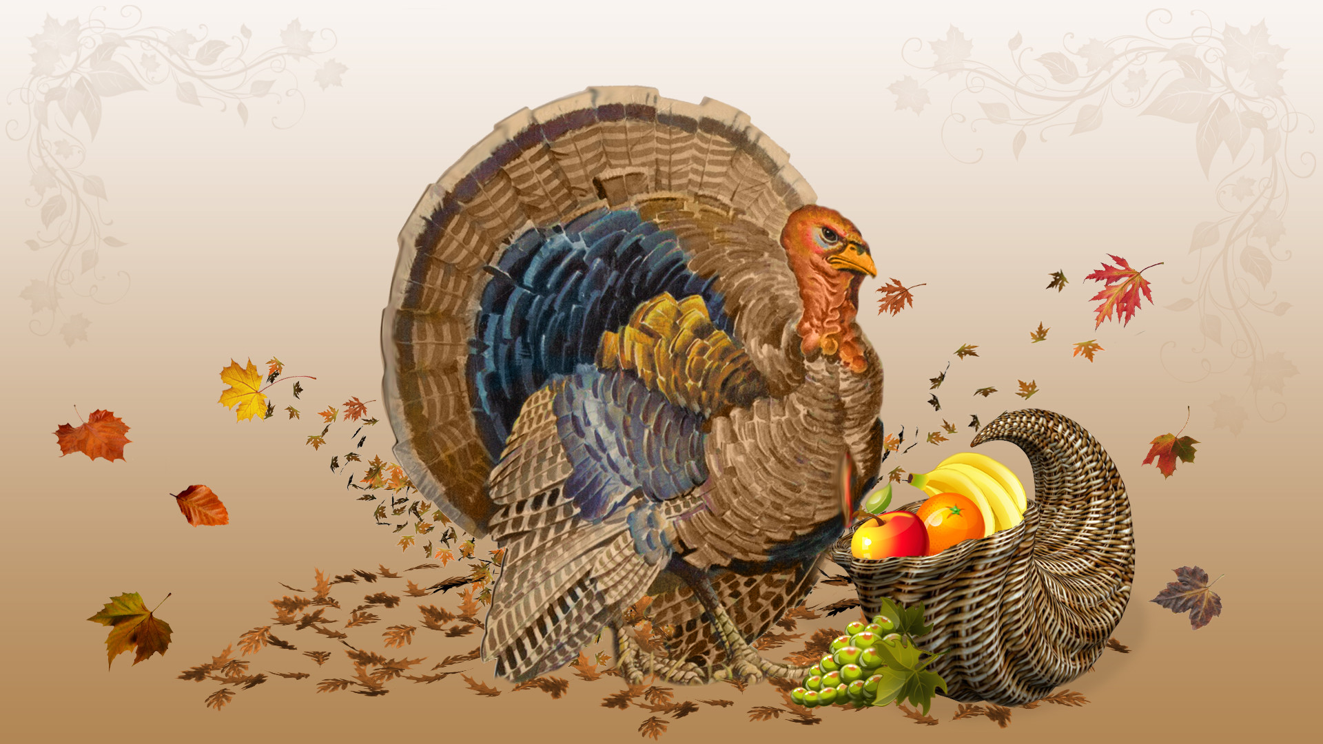 Happy thanksgiving 2012 turkey Wallpaper HD