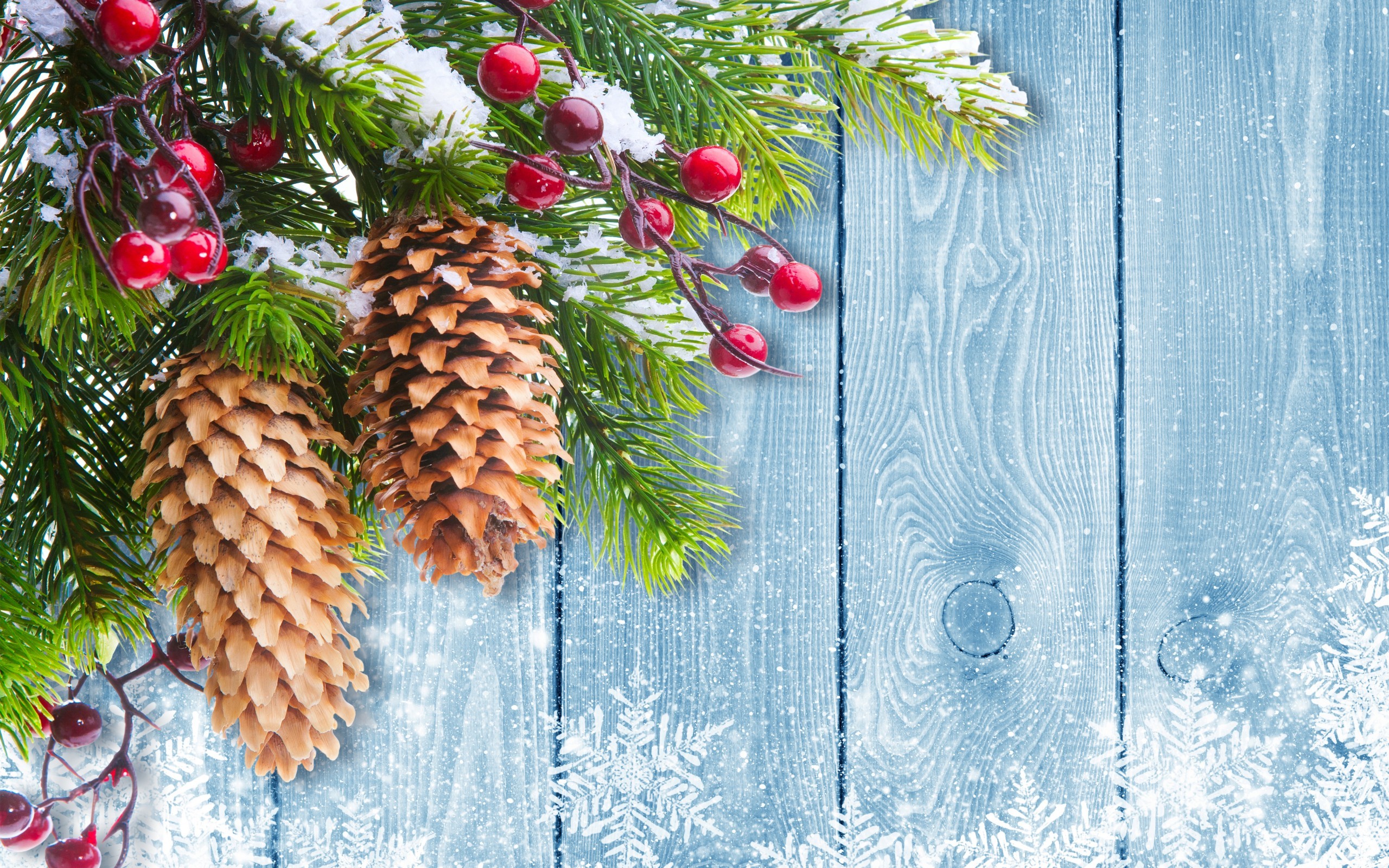 Christmas Tree Branch Mistletoe Desktop Wallpaper Uploaded by DesktopWalls