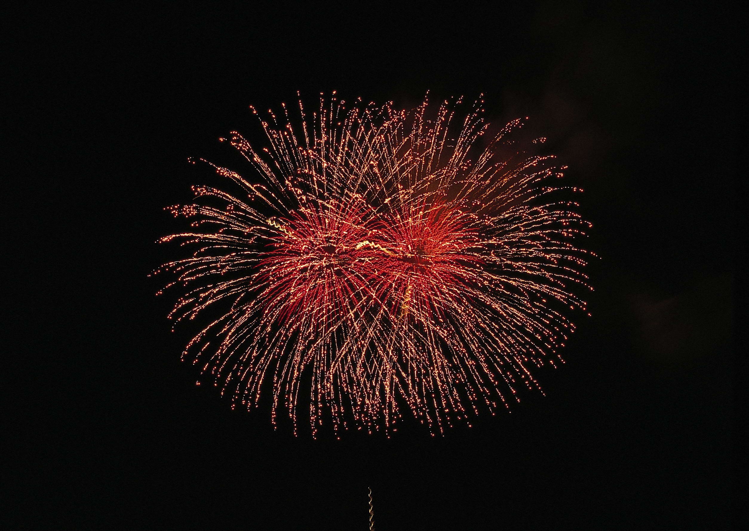 free screensaver wallpapers for fireworks