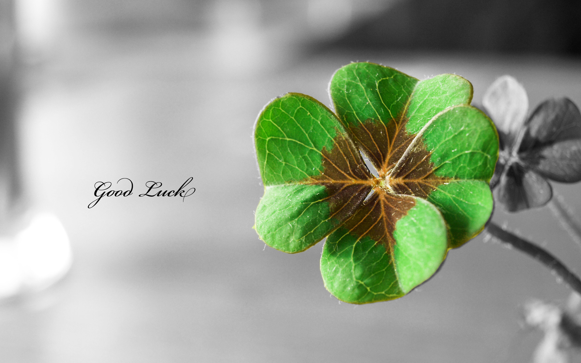 St. Pattys Day Background 4