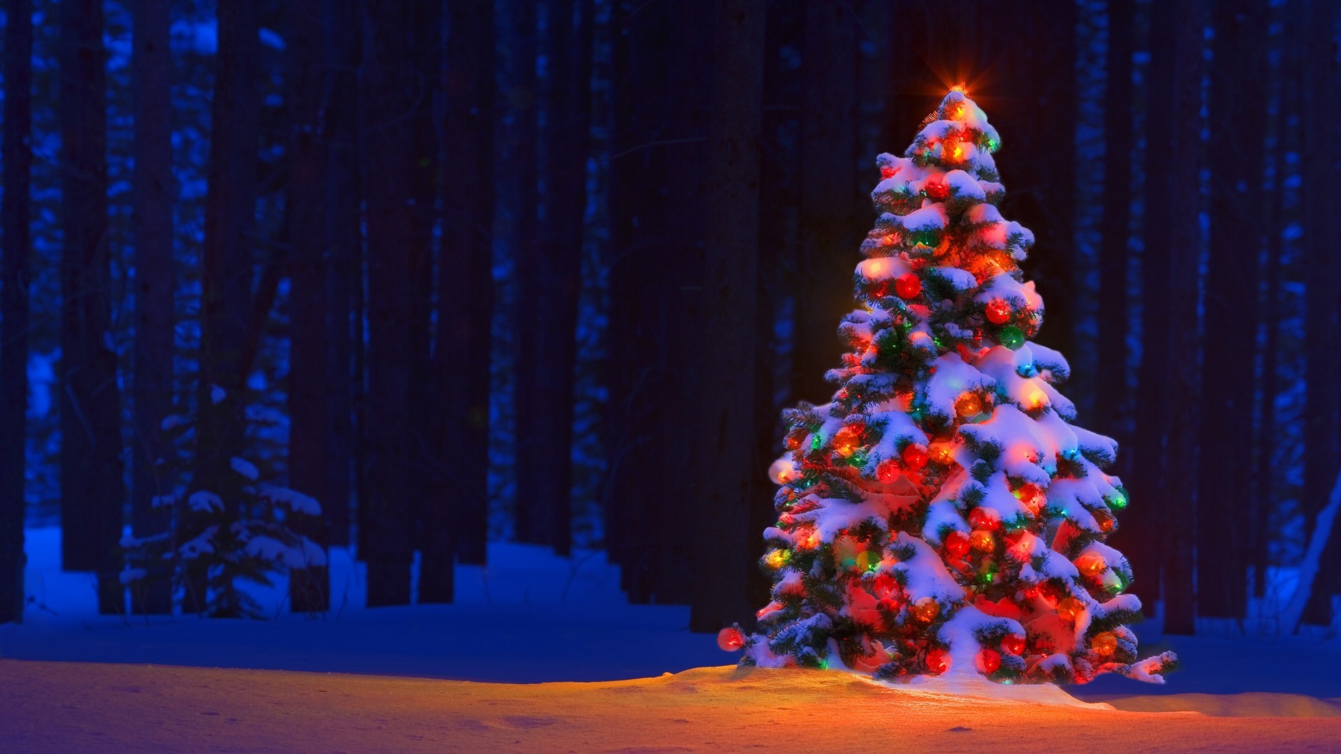Christmas Lights Tree Desktop Backgrounds