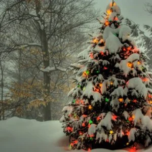 Christmas Tree Desktop Background
