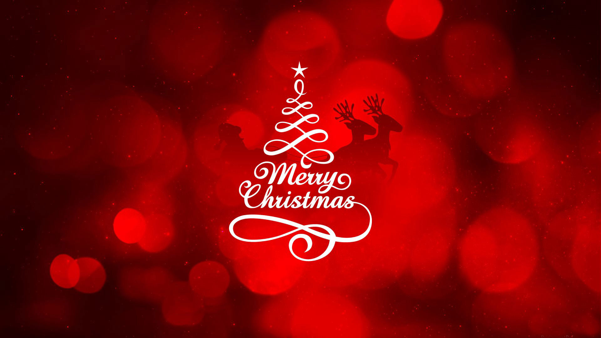 Hd pics photos christmas merry christmas tree red desktop background wallpaper