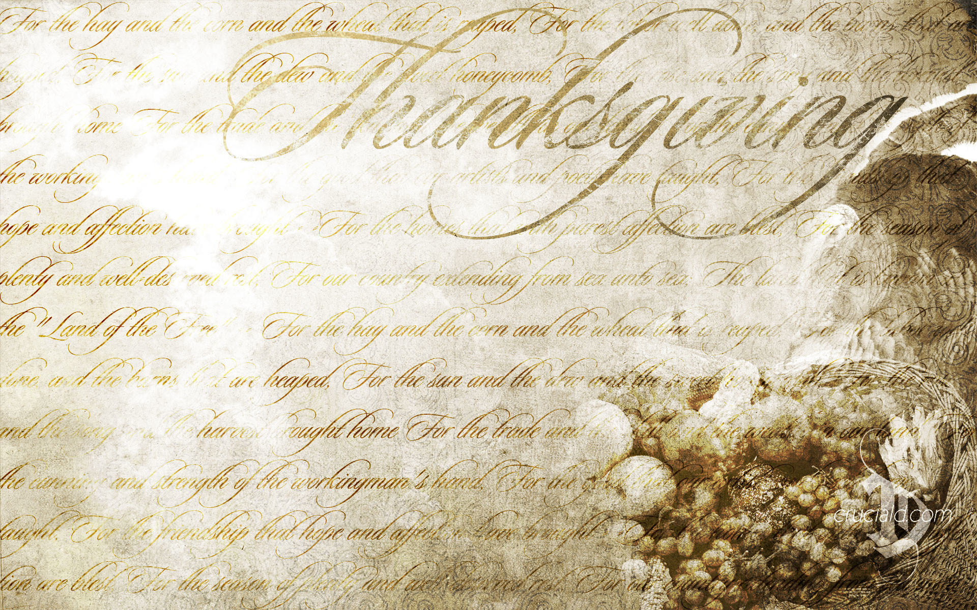 Thanksgiving HD Wallpapers Desktop Background Free