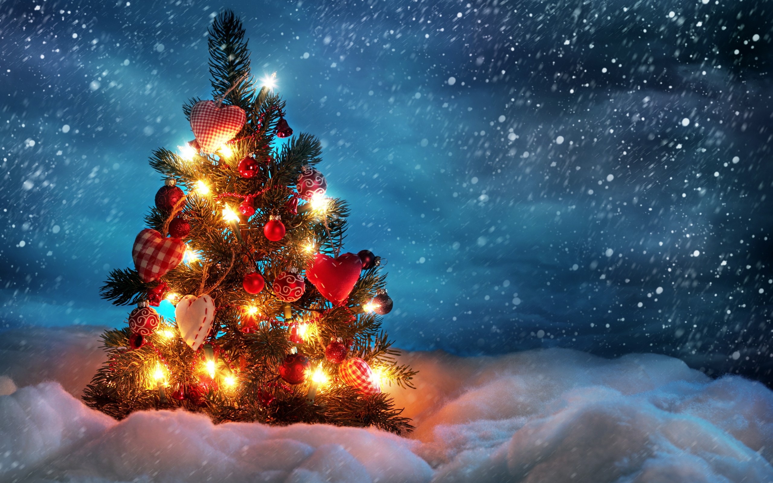 Christmas widescreen 1610 wallpapers hd desktop backgrounds 1680x1050  images and pictures