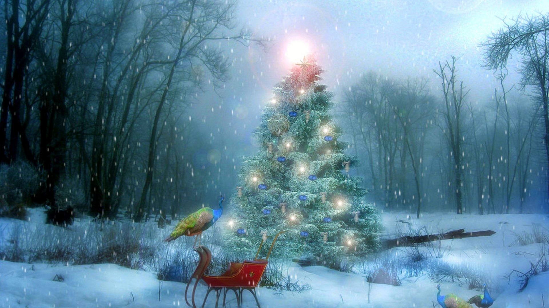 Xmas Tag – Animals Four Winter Beautiful Love Holidays Attractions Sleigh Peacocks Pre Creative Dreams Lighting