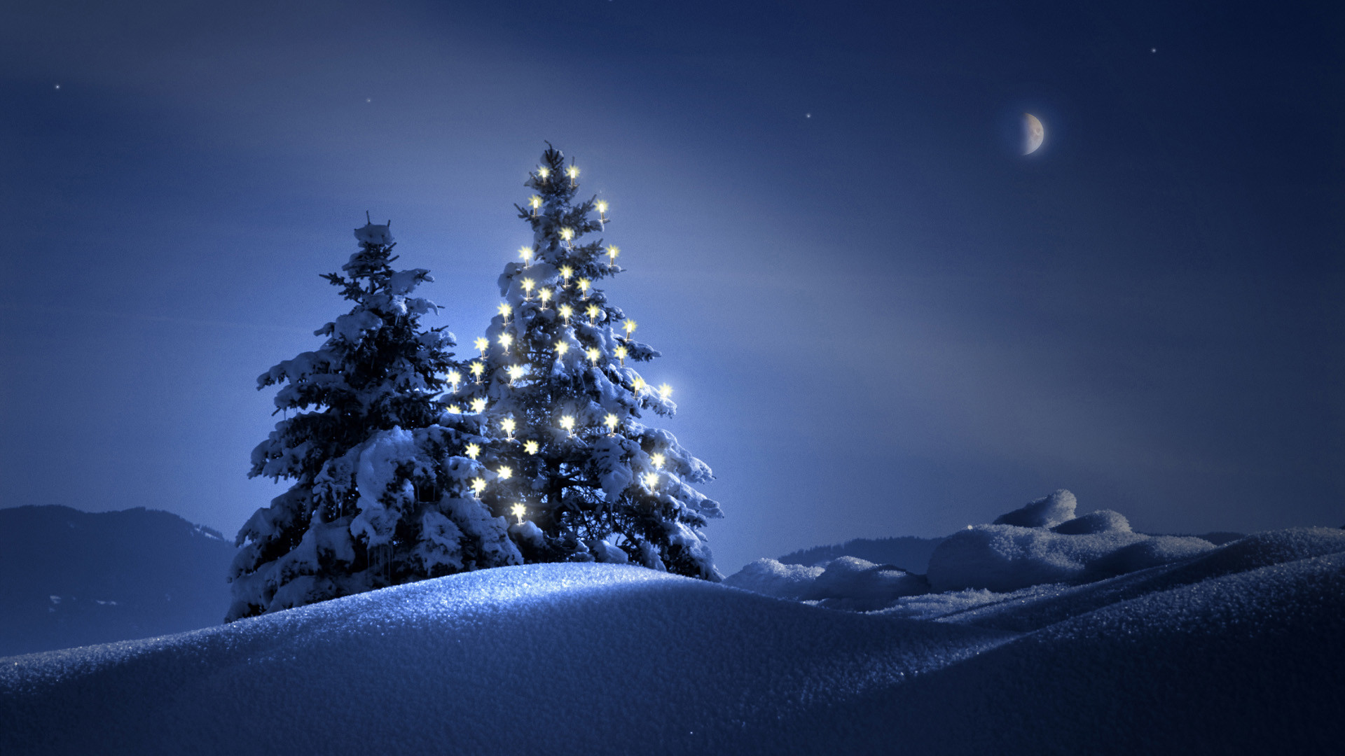 "Collection of hundreds of Christmas Tree Wallpaper from all over the world.