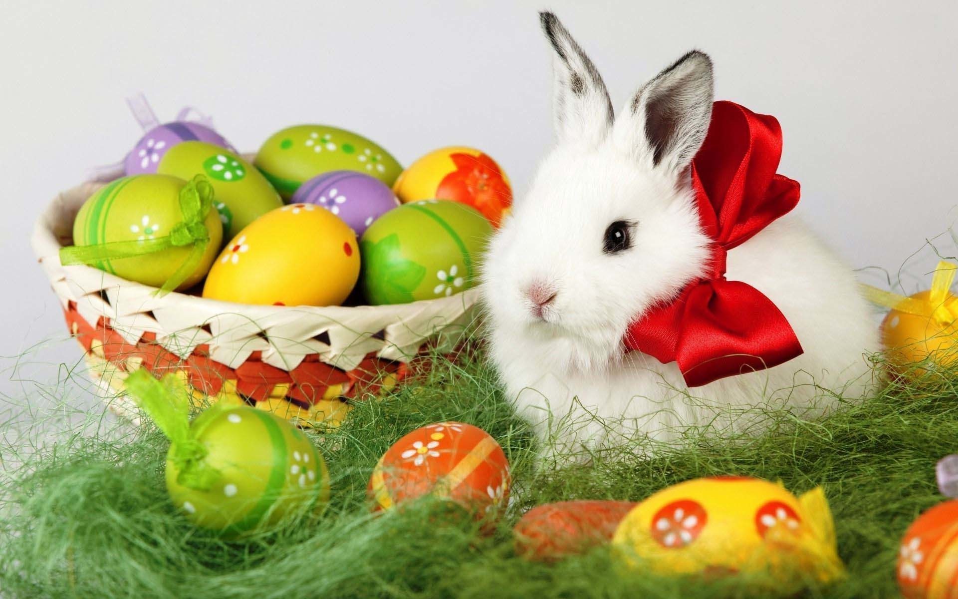 Easter Bunny And Eggs 19201200 Holiday Wallpaper Cool PC Wallpapers