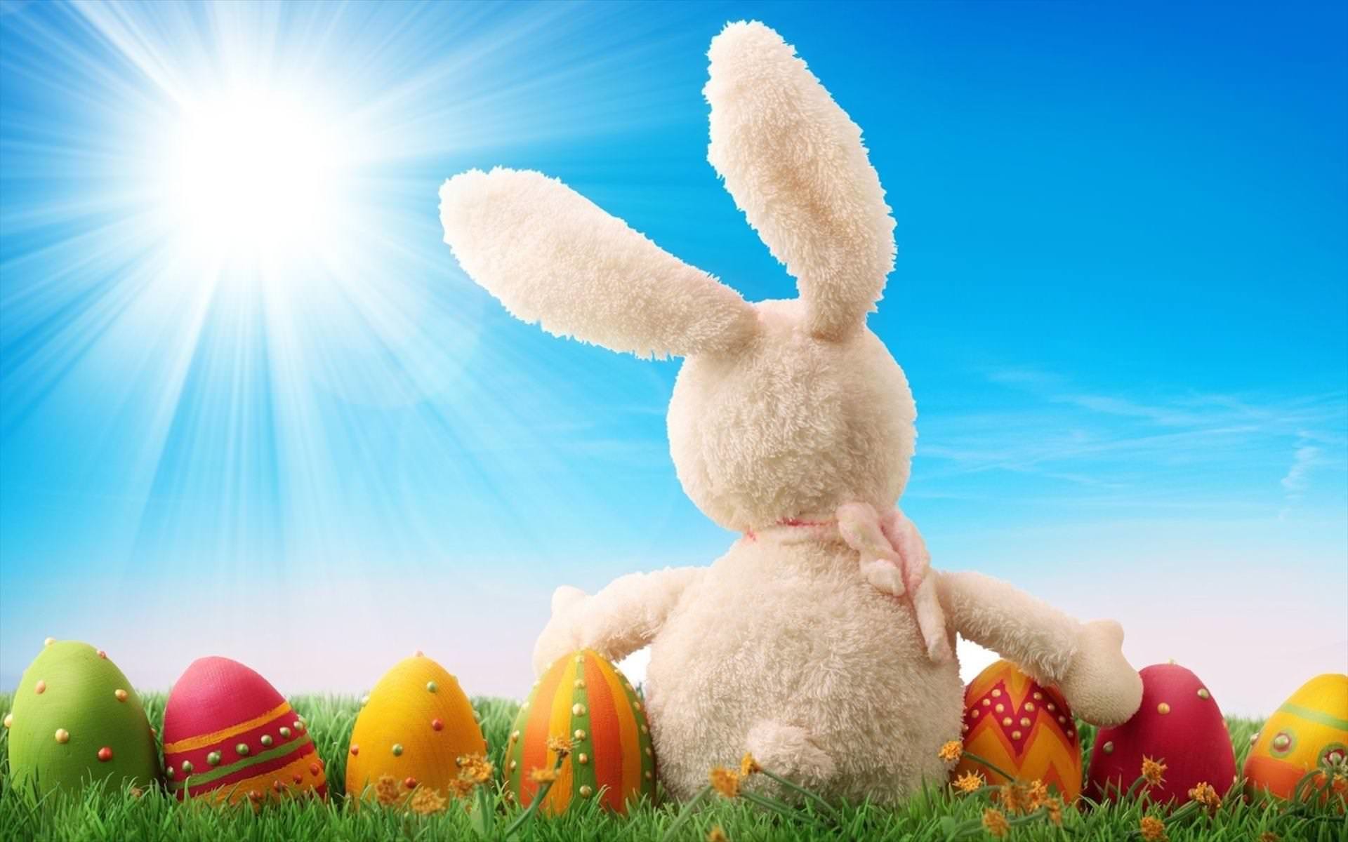 HD Easter Bunny Wallpaper For Free