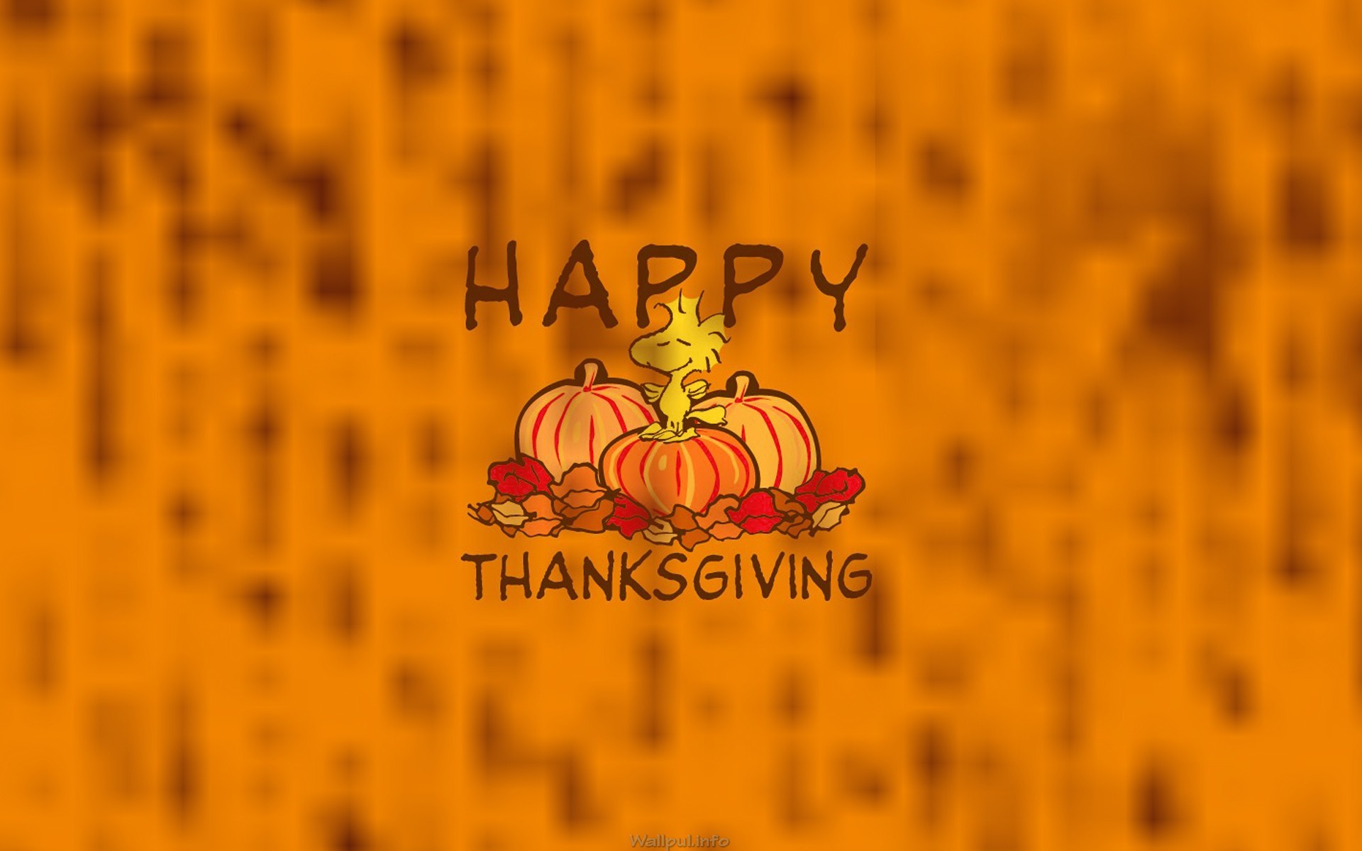 Celebration Thanksgiving Wallpaper 1080p …
