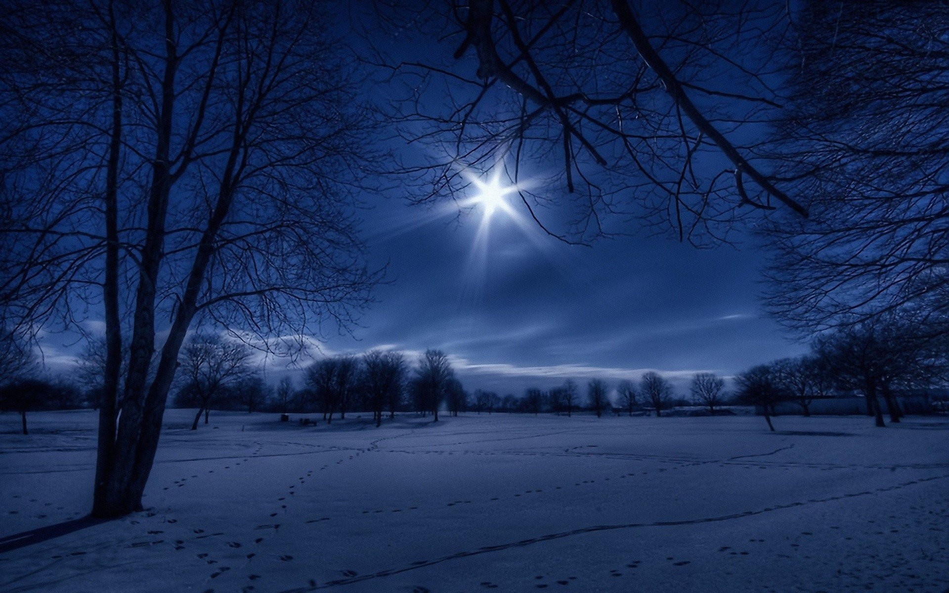 Winter Night In Moonlight Wallpaper Widescreen.