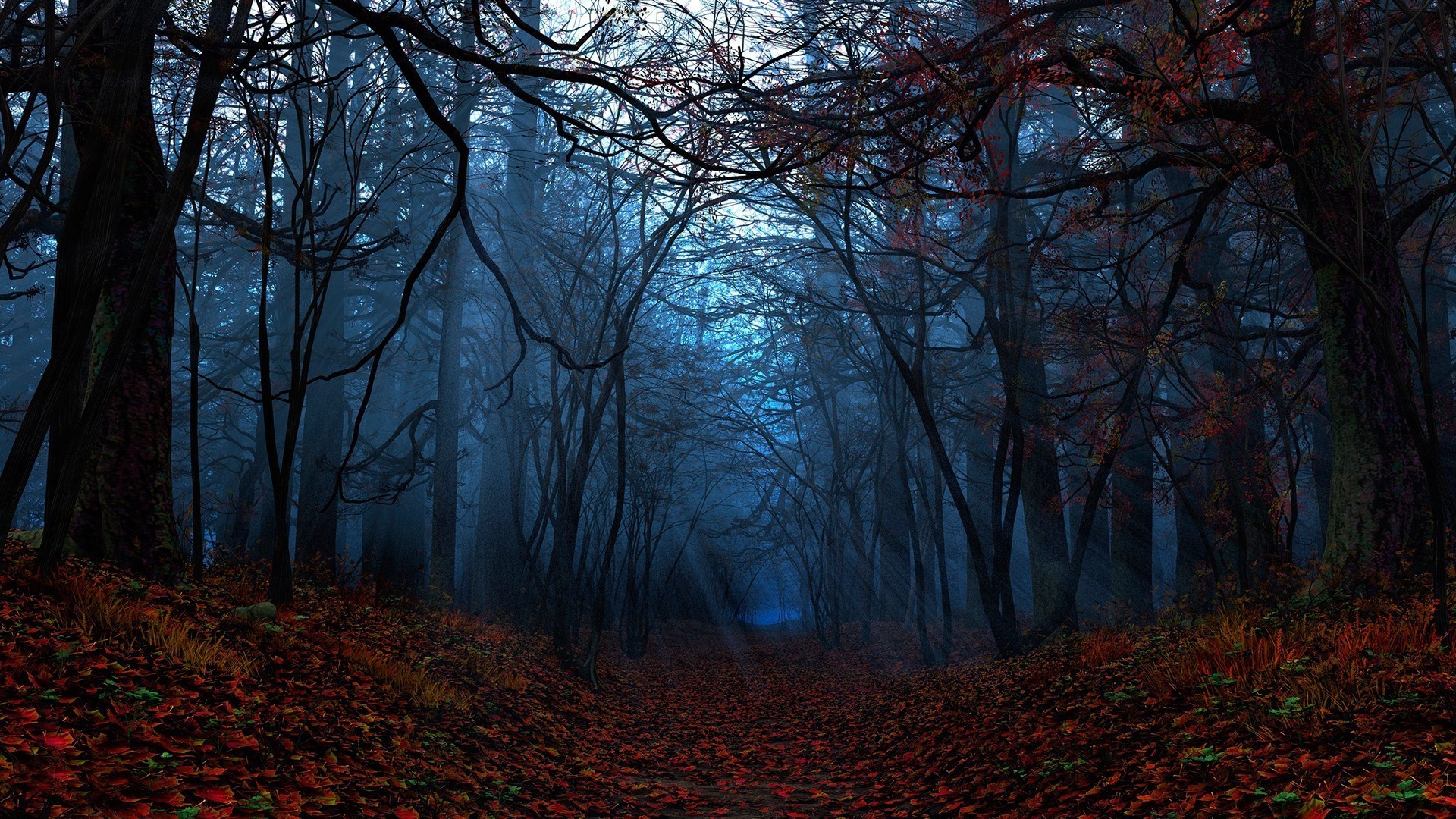 Path through the autumn forest wallpaper #14962