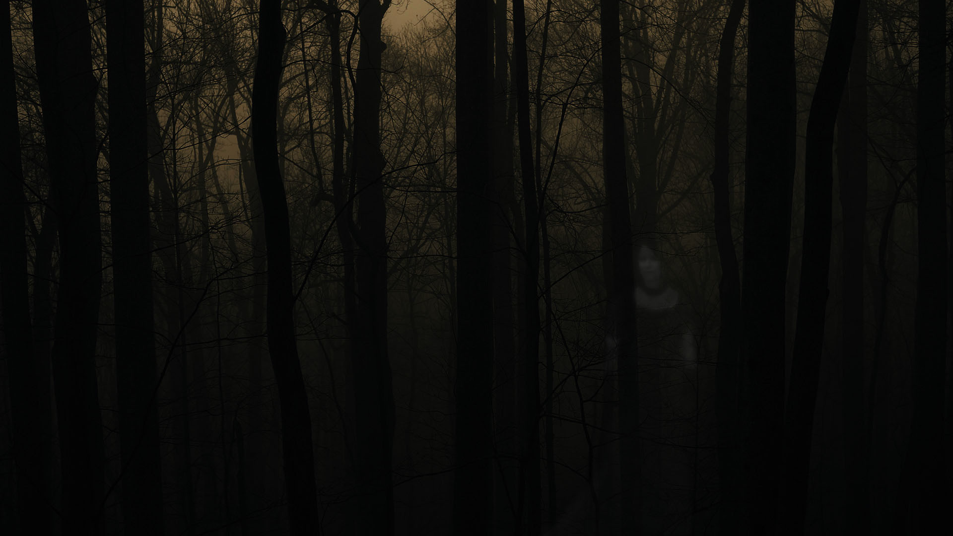 Spooky Forest Backgrounds Festival Collections