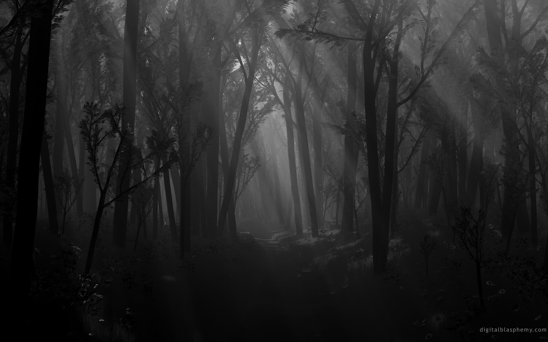 126+ Creepy Forest