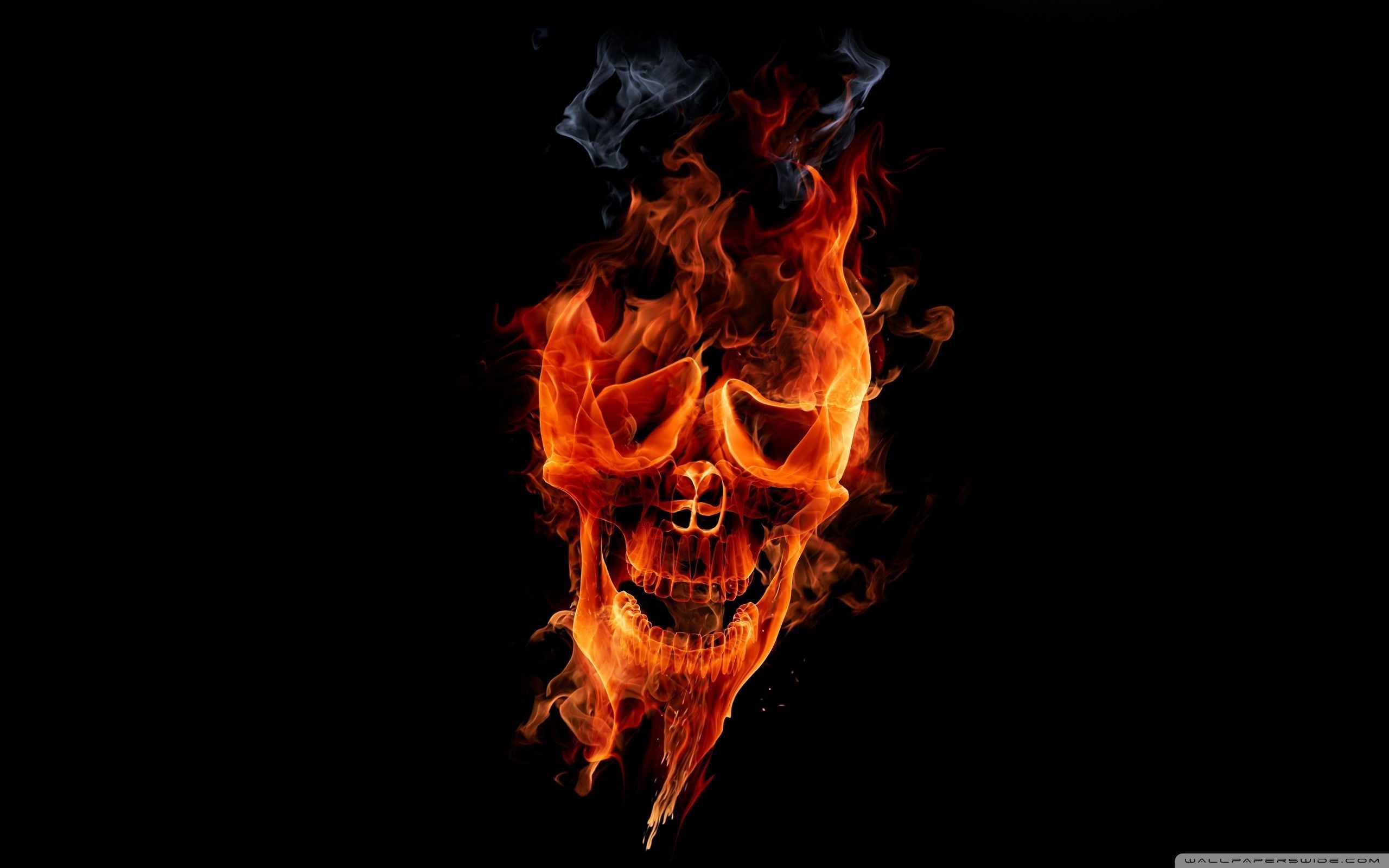Fire Skull Wallpaper Full HD 2560×1600 – Free wallpaper full hd
