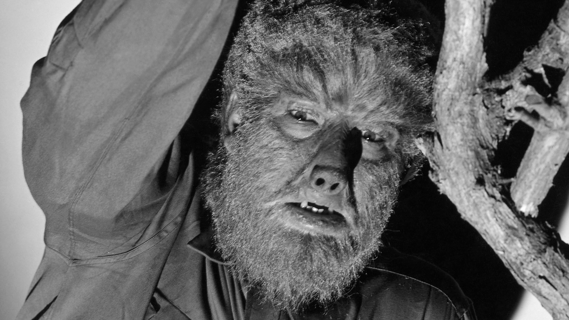 Universal Plans To Reboot The Wolf Man Again Â» Fanboy.com