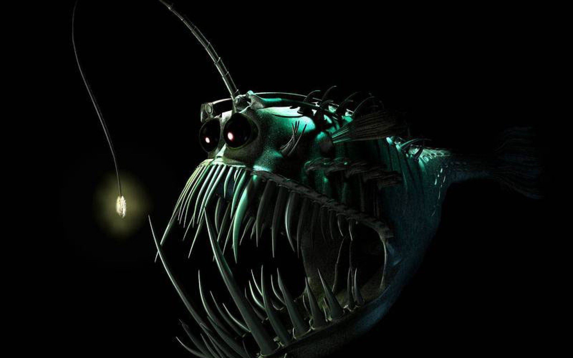 Anglerfish Fish Ocean Sea Underwater Dark Creepy Monster Fangs Wallpaper At Dark Wallpapers
