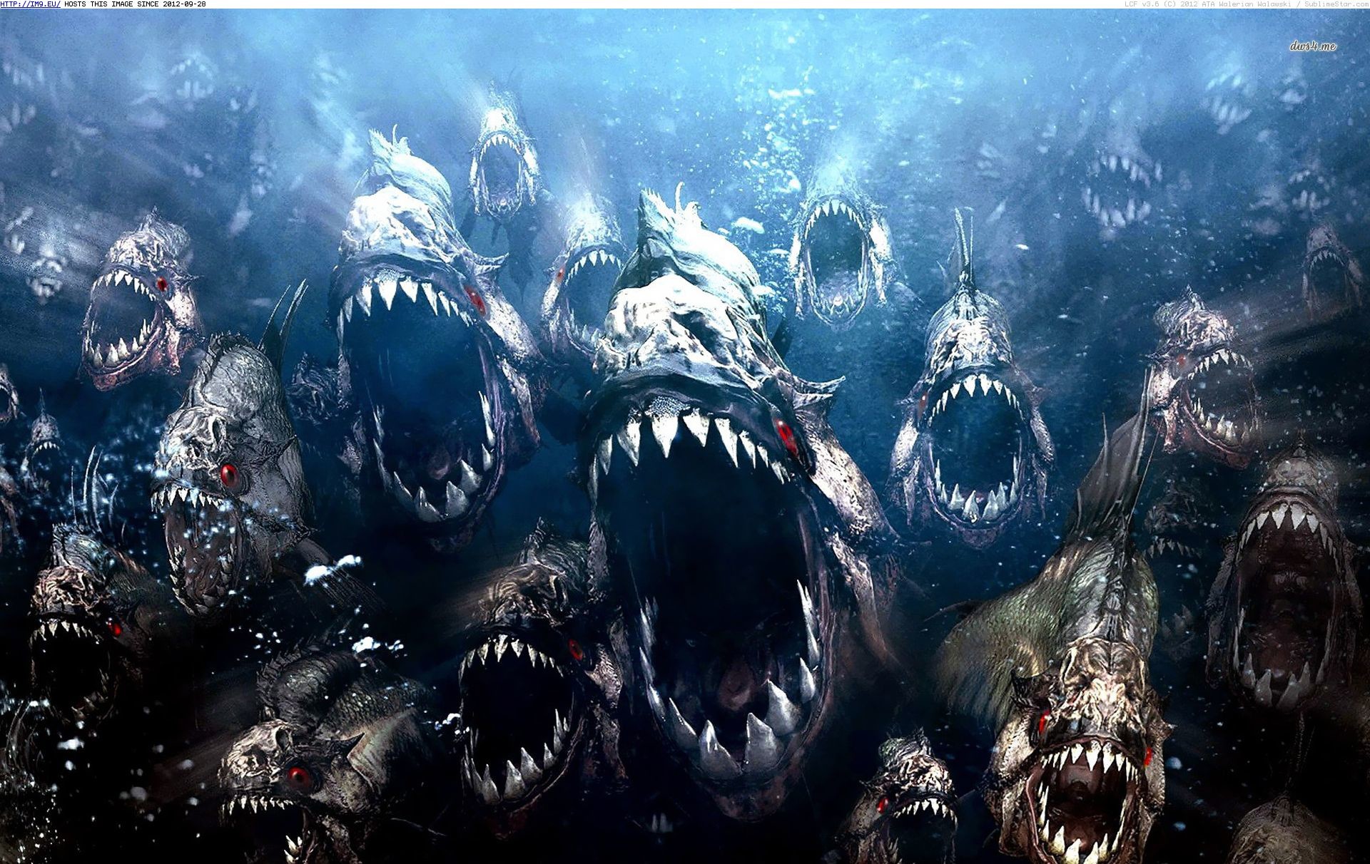 Piranha Movie Wallpaper