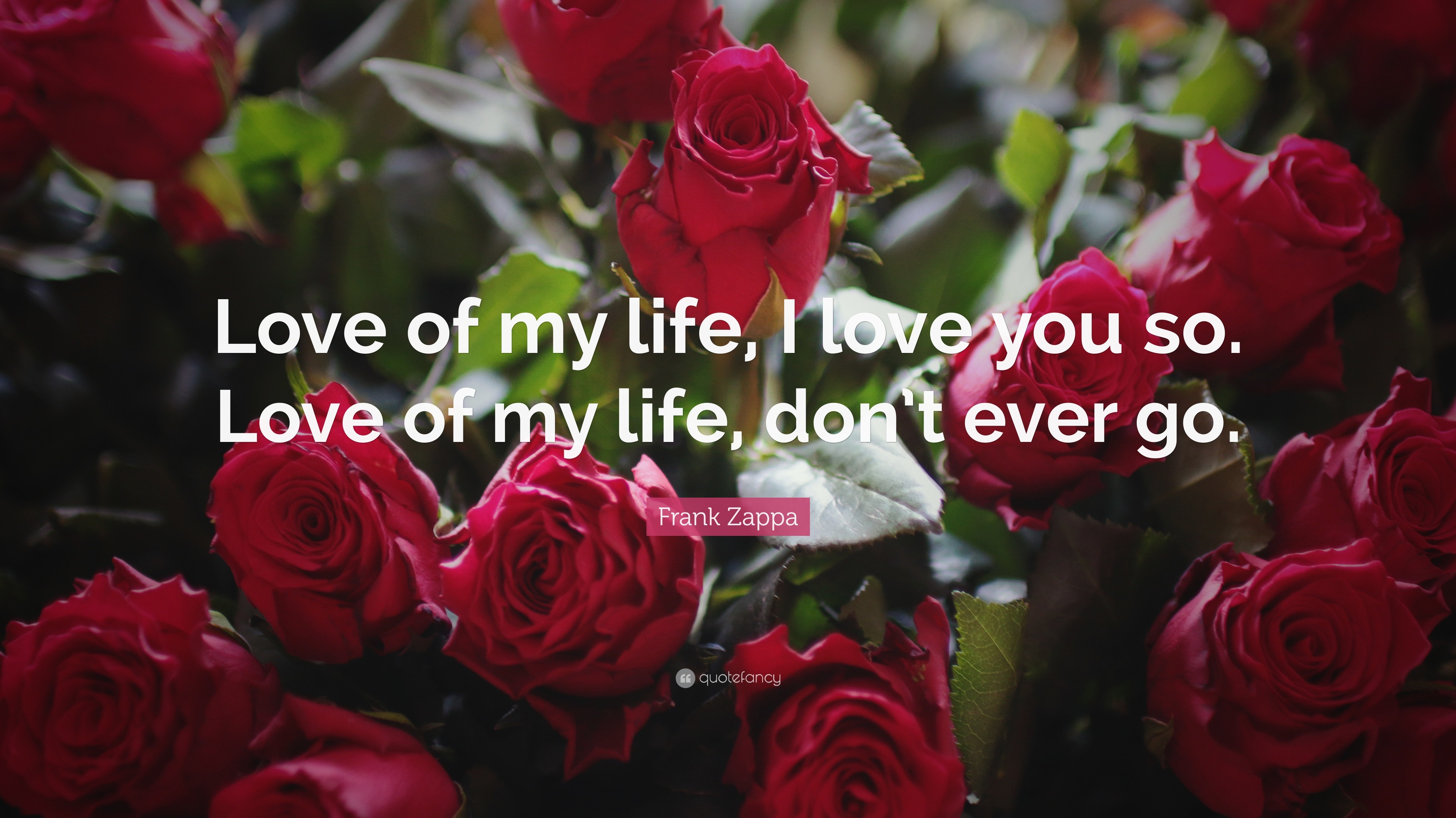 Love You Quotes: “Love of my life, I love you so. Love