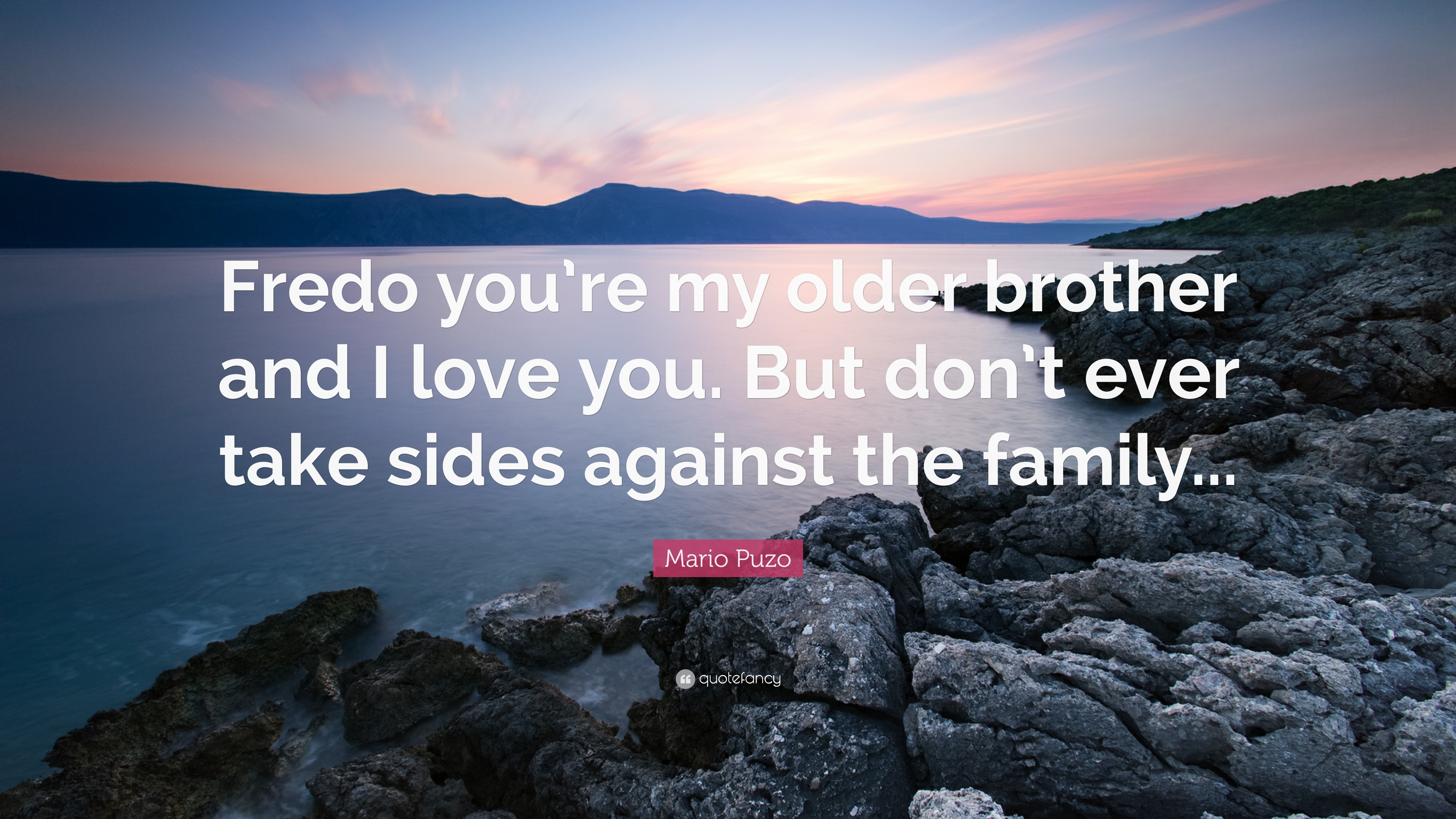 Mario Puzo Quote: “Fredo you're my older brother and I love you