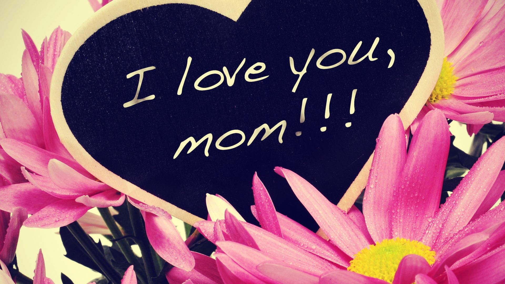 Mom Tag – Daisy Daisies Flowers Mom Nature Love Flower Wallpaper For Iphone 5c for HD