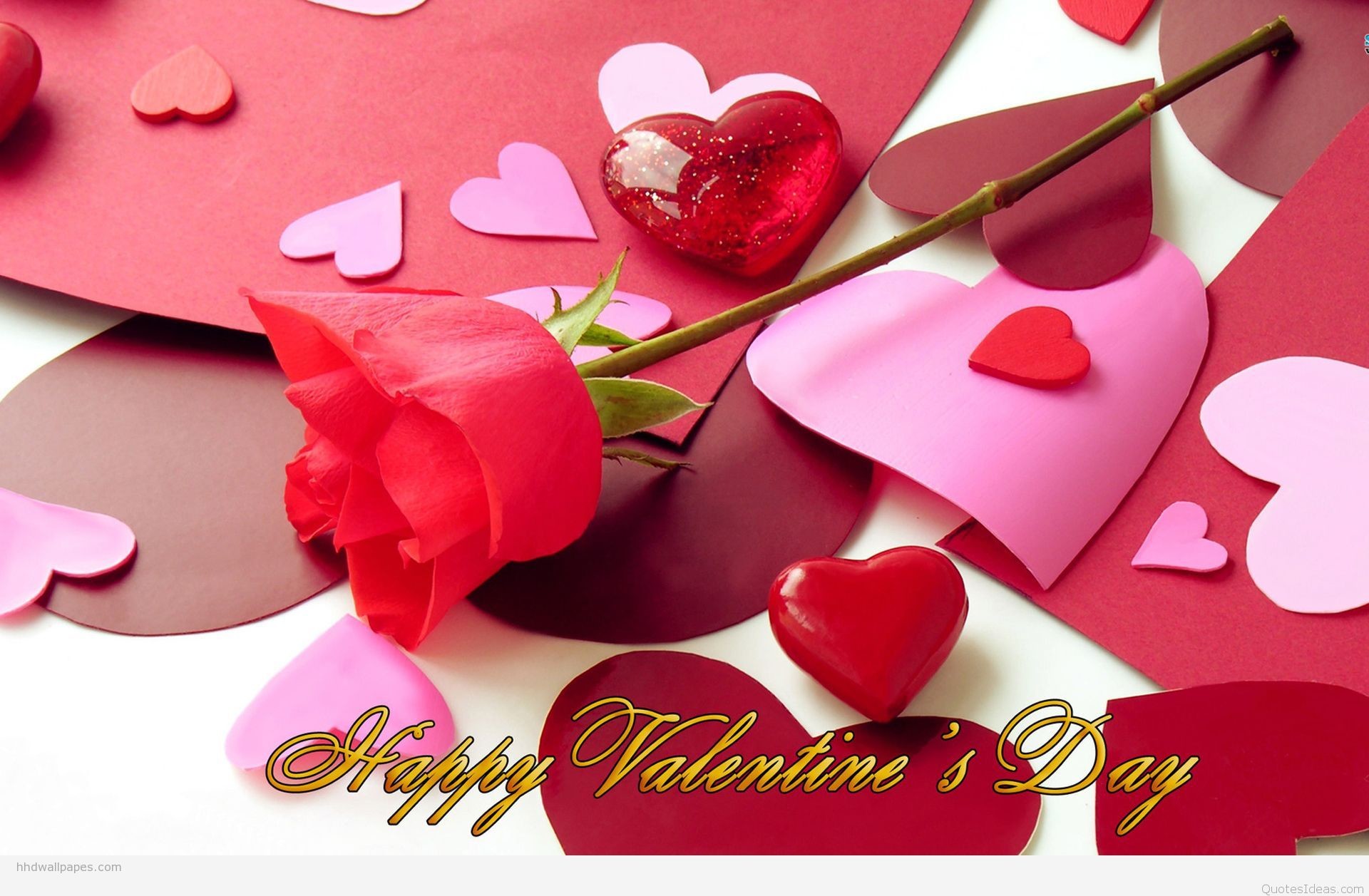 Beautiful Happy Valentines Rose Day Wallpaper HD