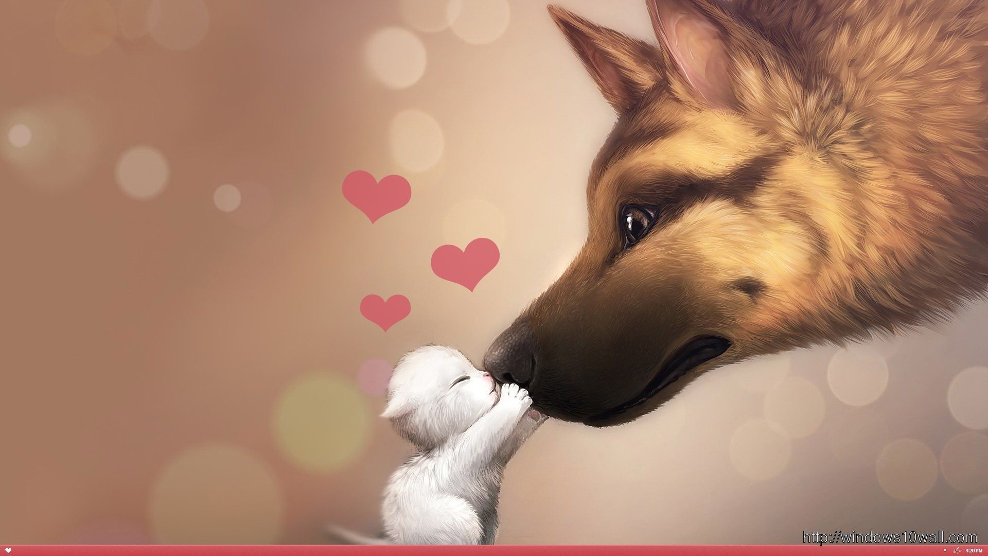 Valentines Day Cat And Dog Love Hd Wallpaper