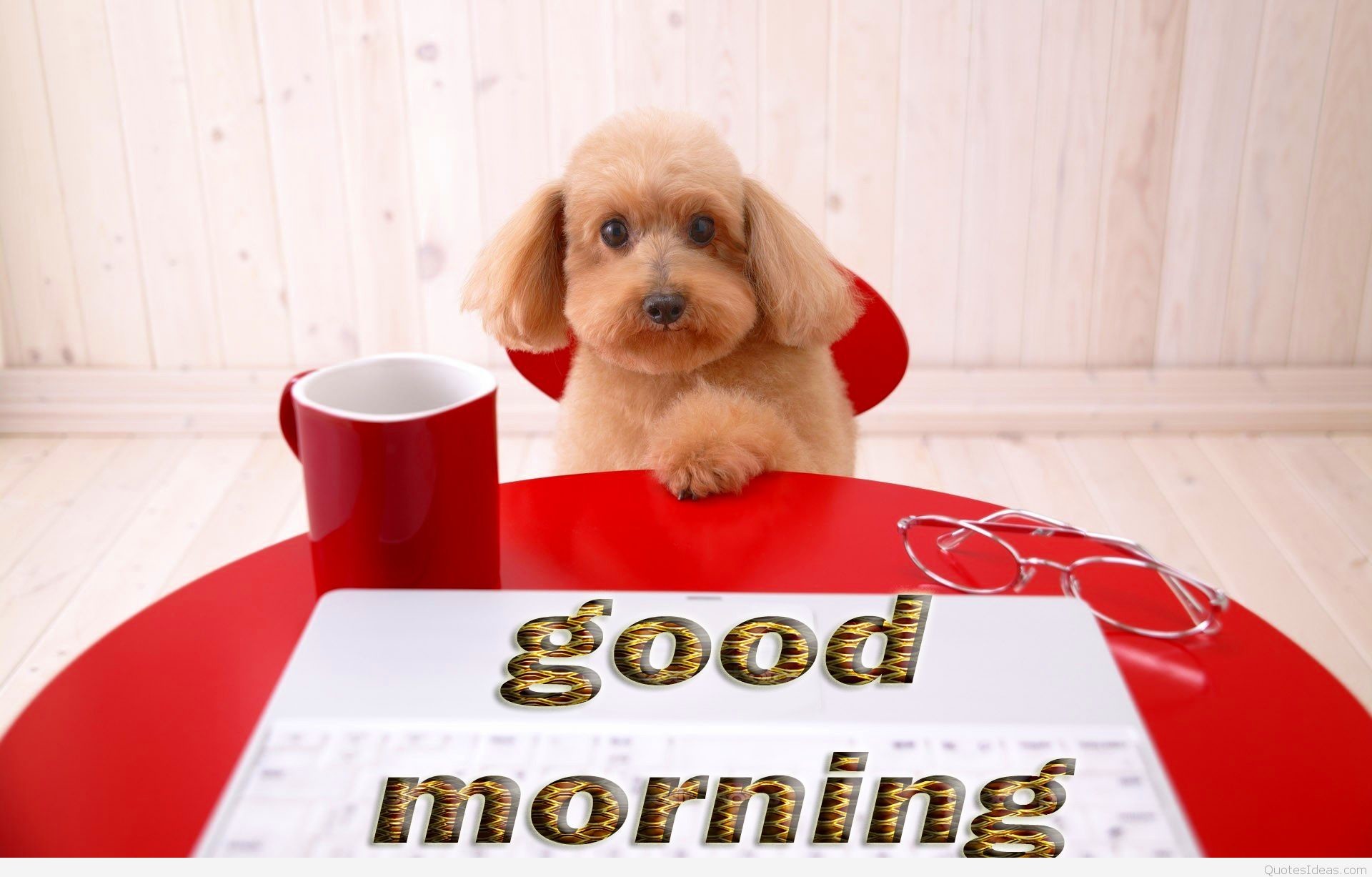 Good Morning Tea cup dog Wallpapers