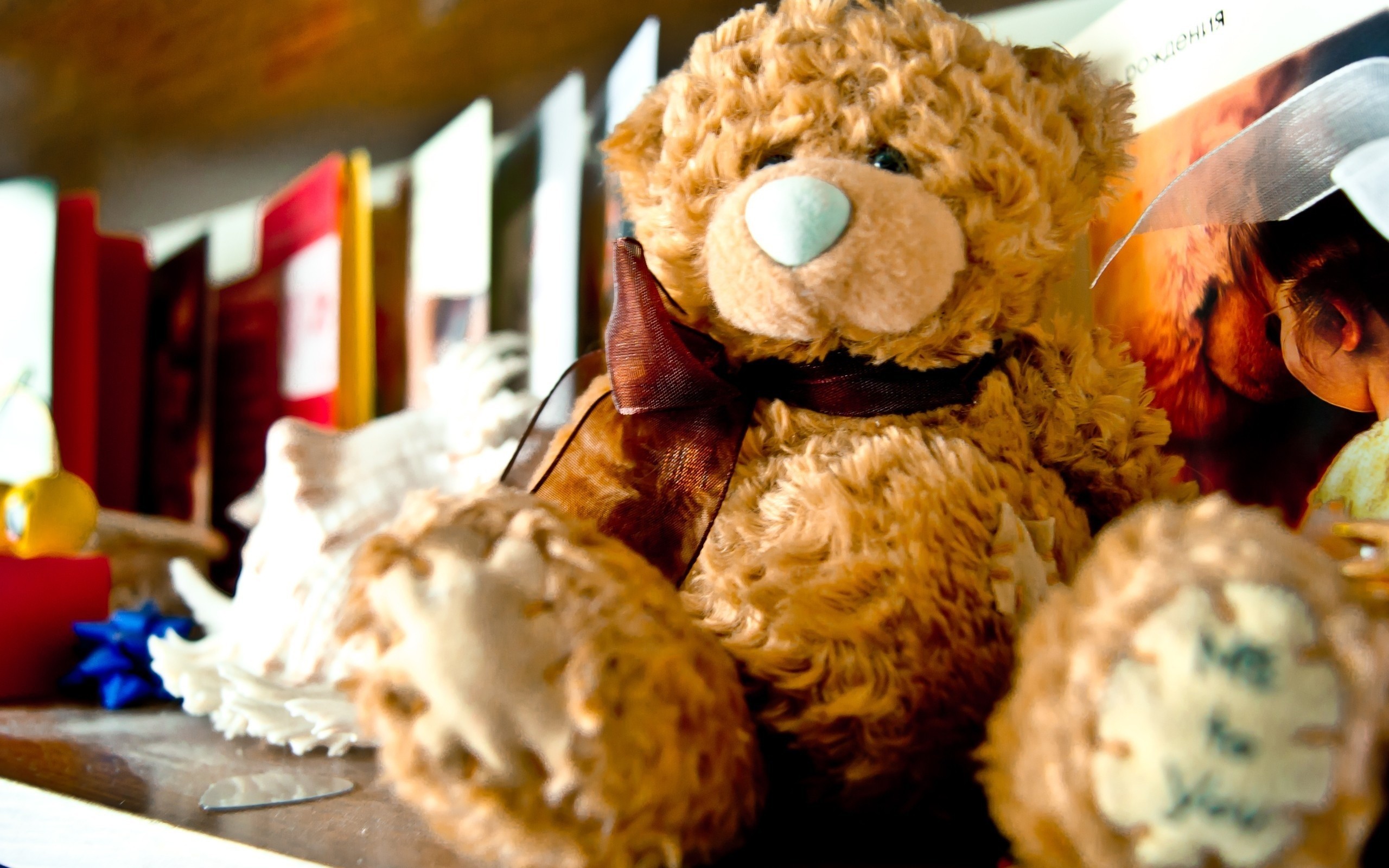 Download Free Lovely And Beautiful Teddy Bear Wallpapers Free
