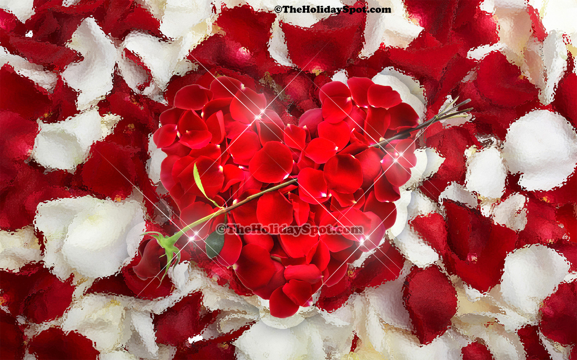 Valentines Day background themed on love showing a heart made of rose petals