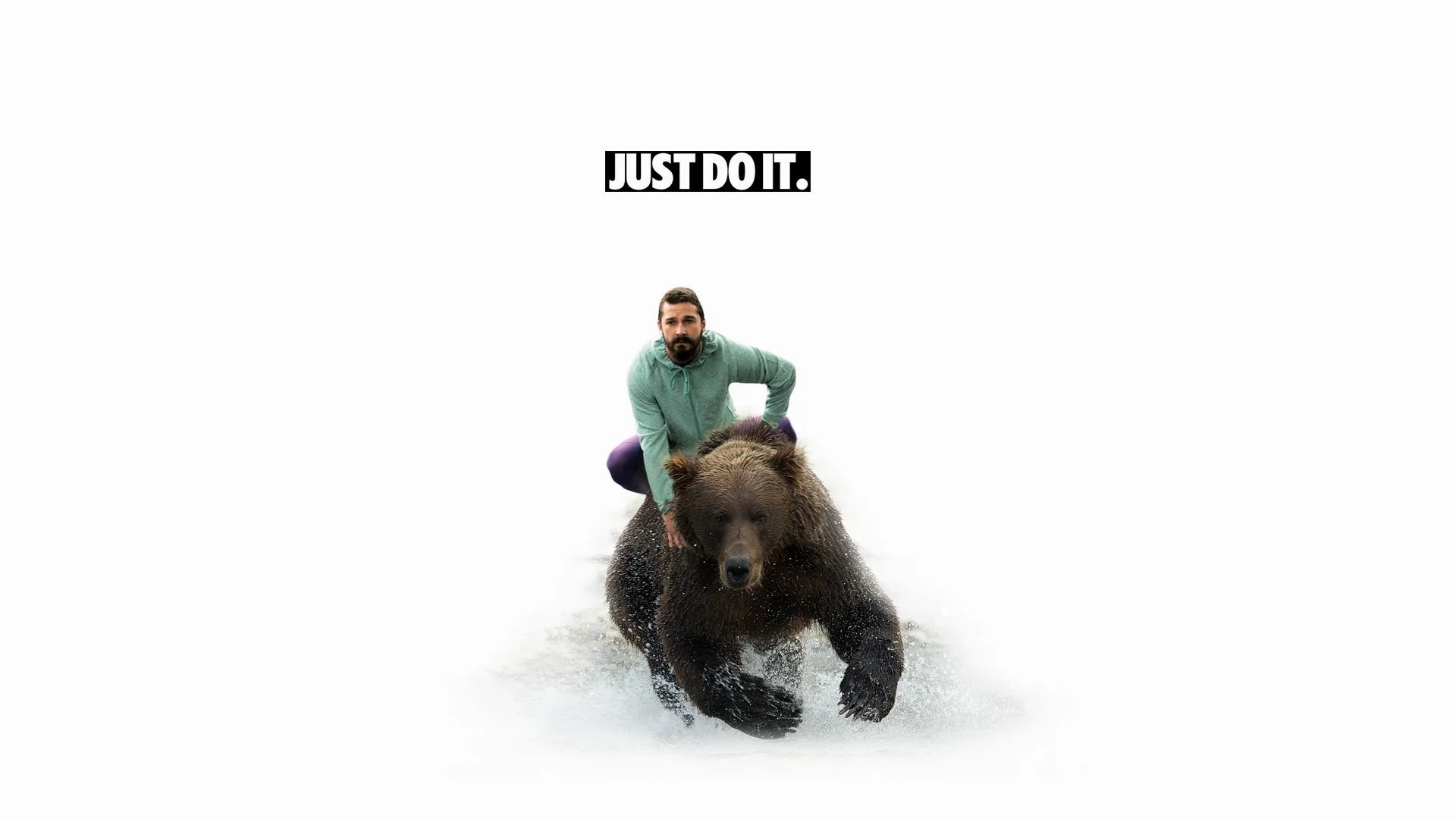Wallpaper.wiki Shia labeouf white bear grizzly bear just do it images PIC WPE0010487