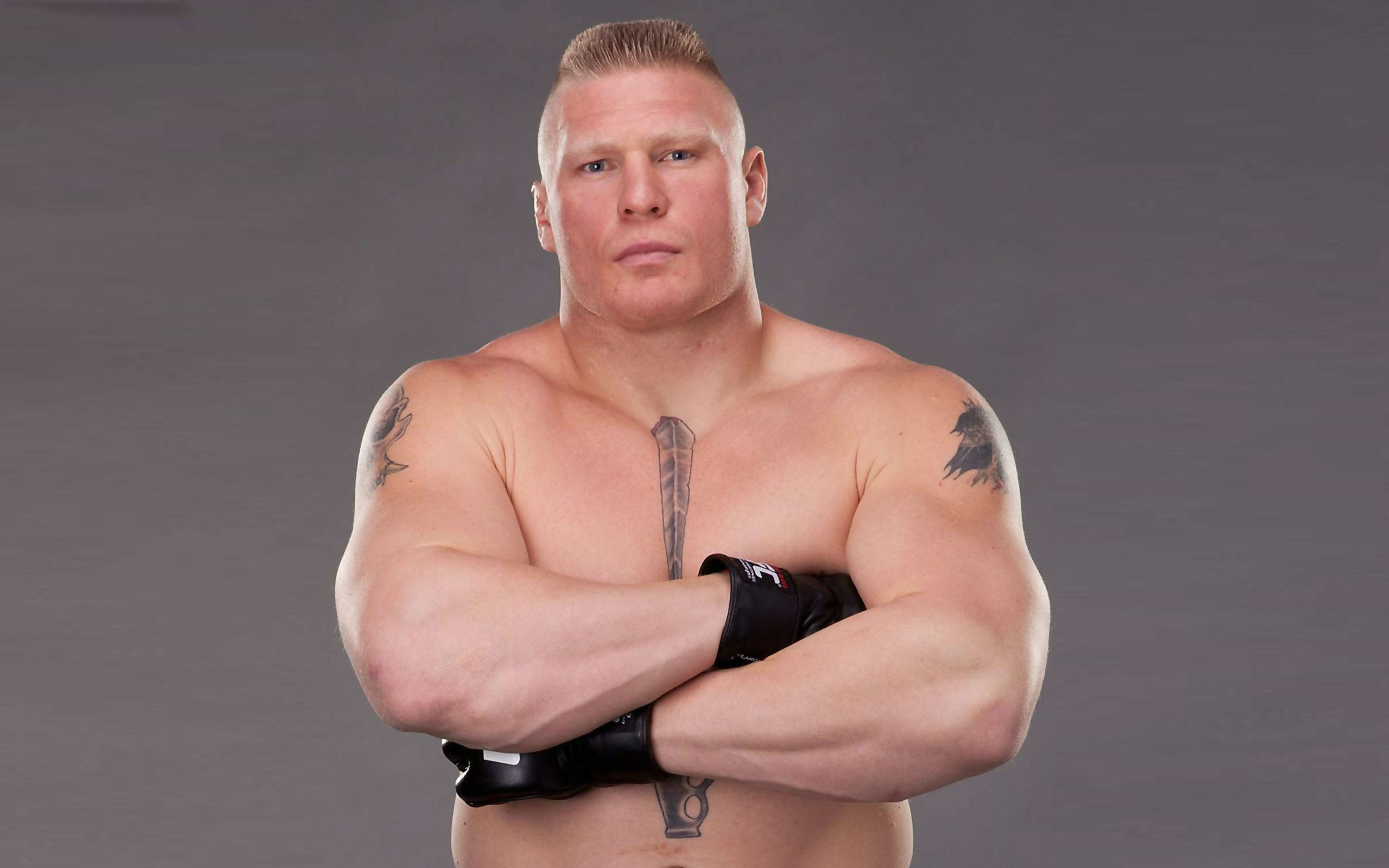 Brock Lesnar Professional Wrestler HD Wallpapers