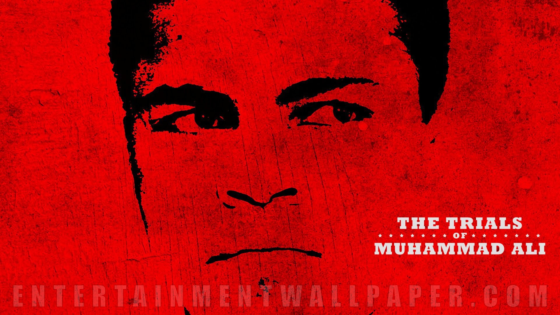 The Trials of Muhammad Ali Wallpaper – Original size, download now