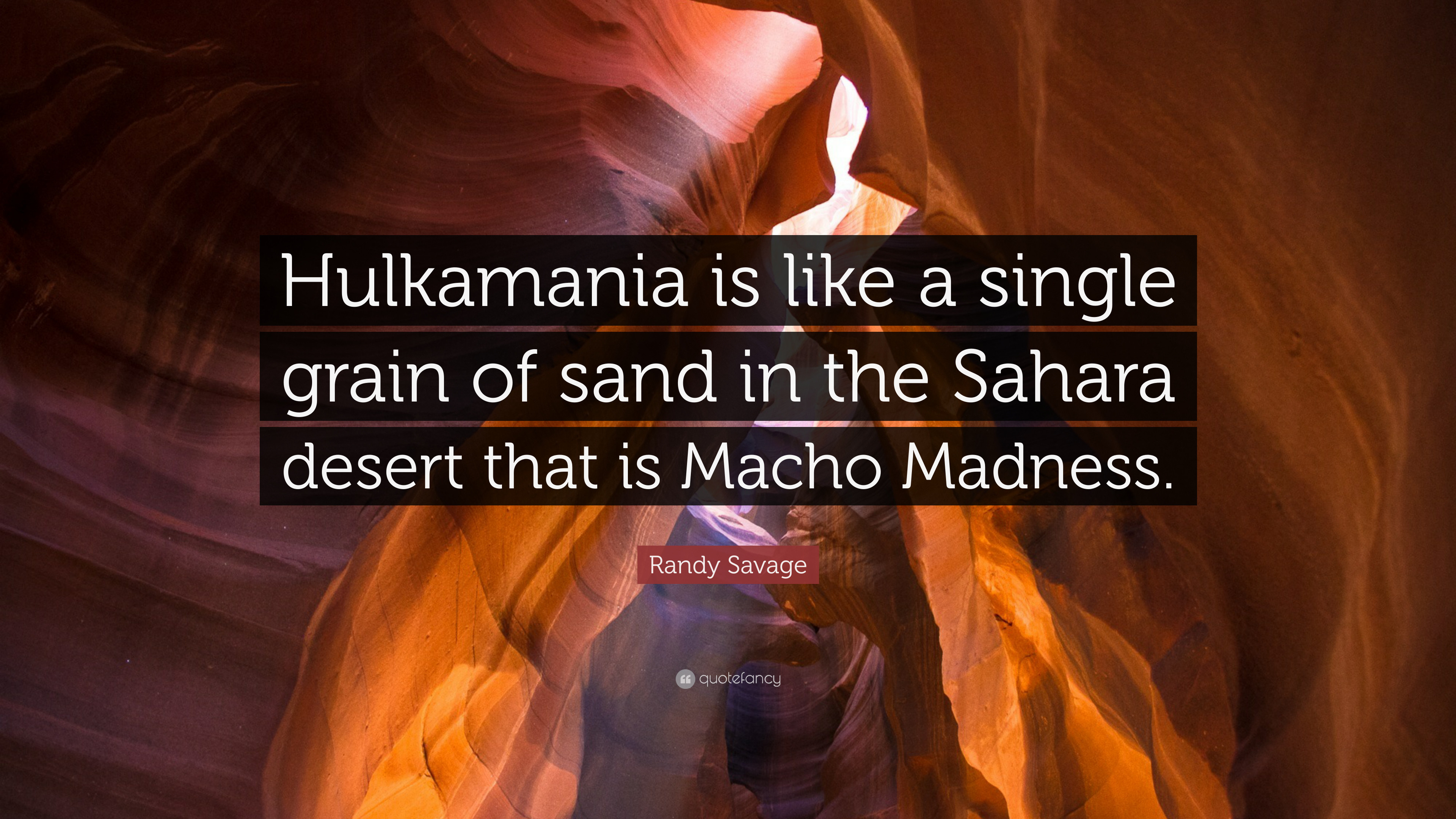 Randy Savage Quote Hulkamania is like a single grain of sand in the Sahara