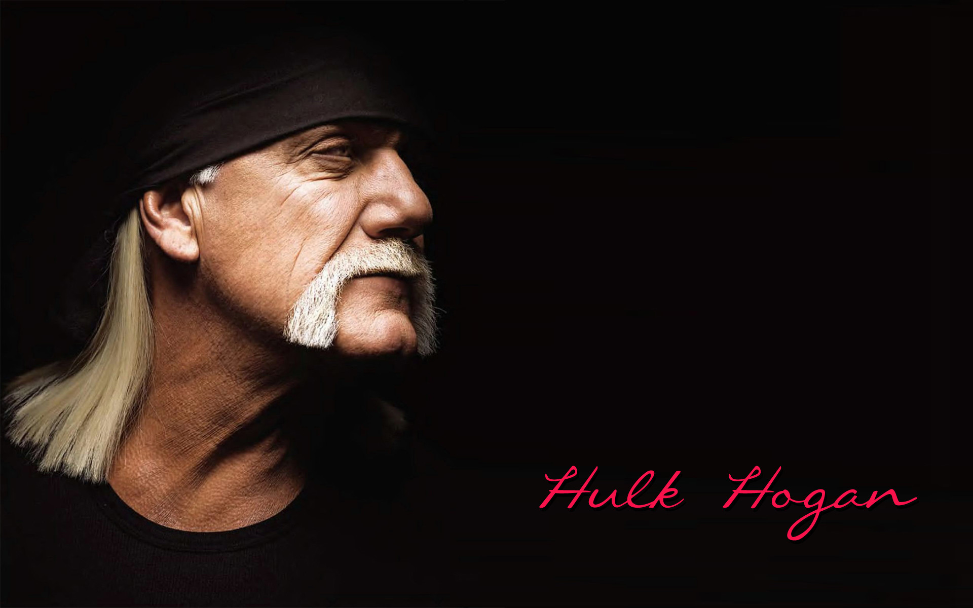 Hulk Hogan wallpaper WWE wallpaper Pinterest Hulk hogan, Hulk and Wallpaper