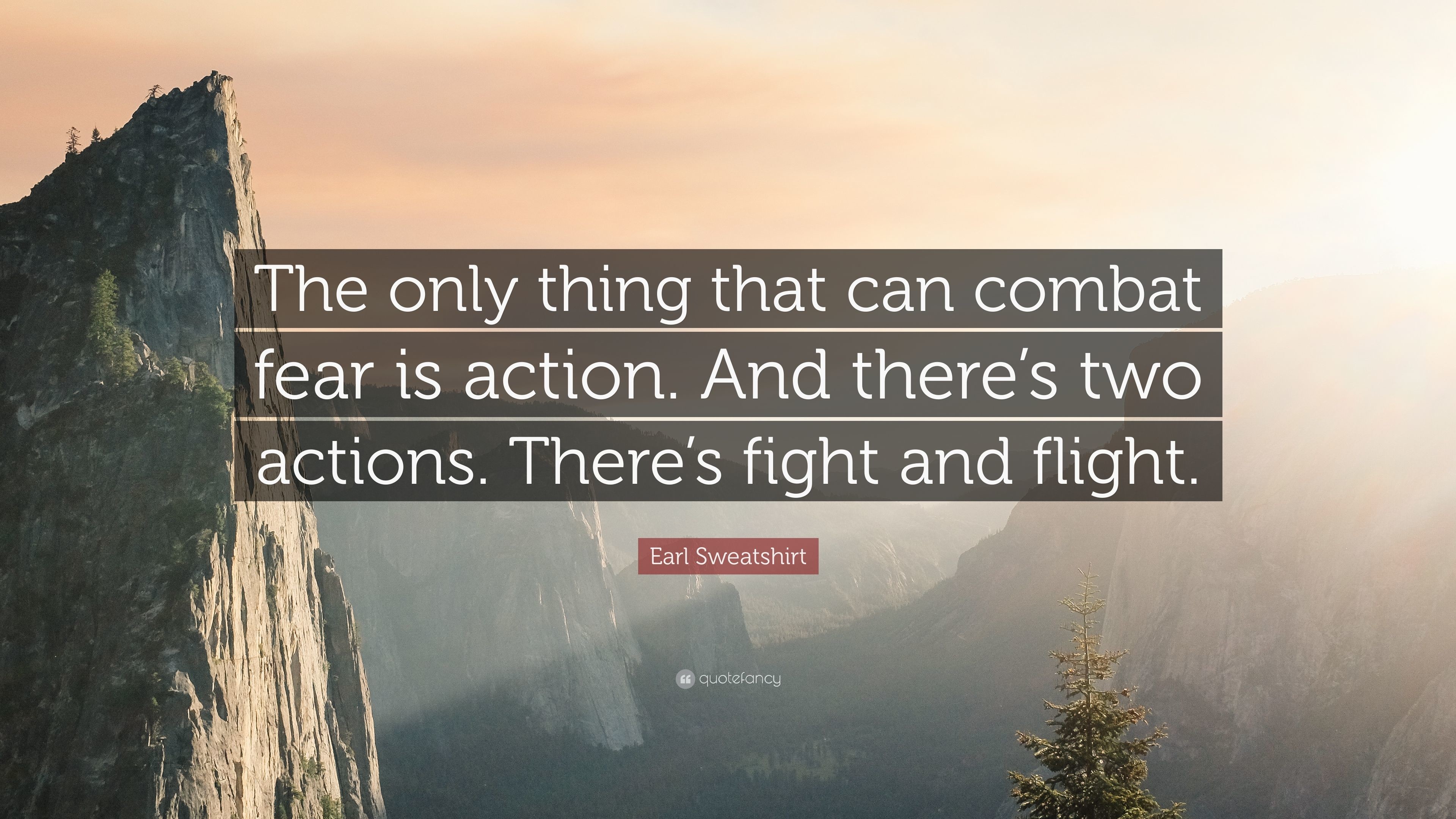 Earl Sweatshirt Quote: “The only thing that can combat fear is action. And