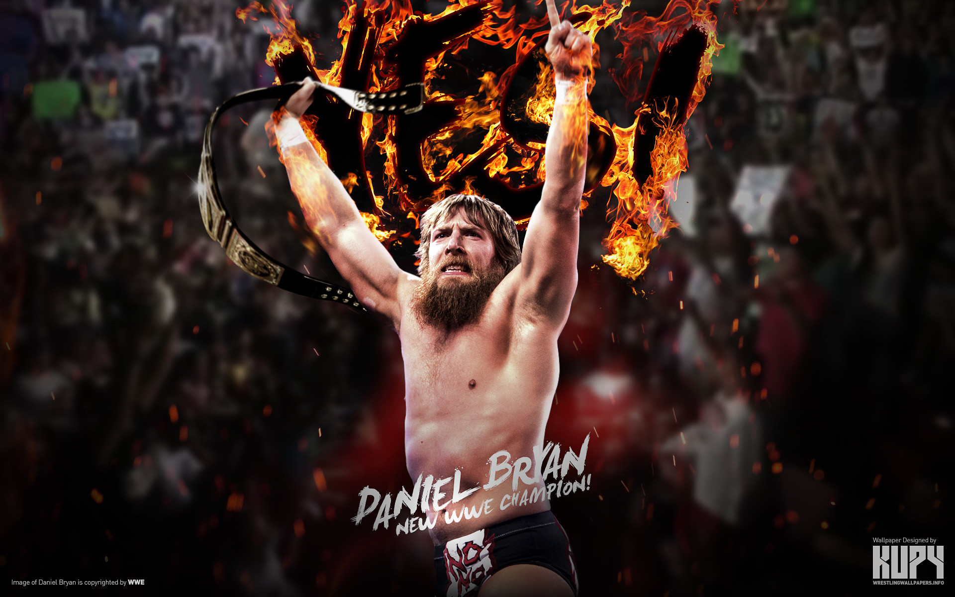 WWE Champion Daniel Bryan wallpaper 1920Ã1200 …