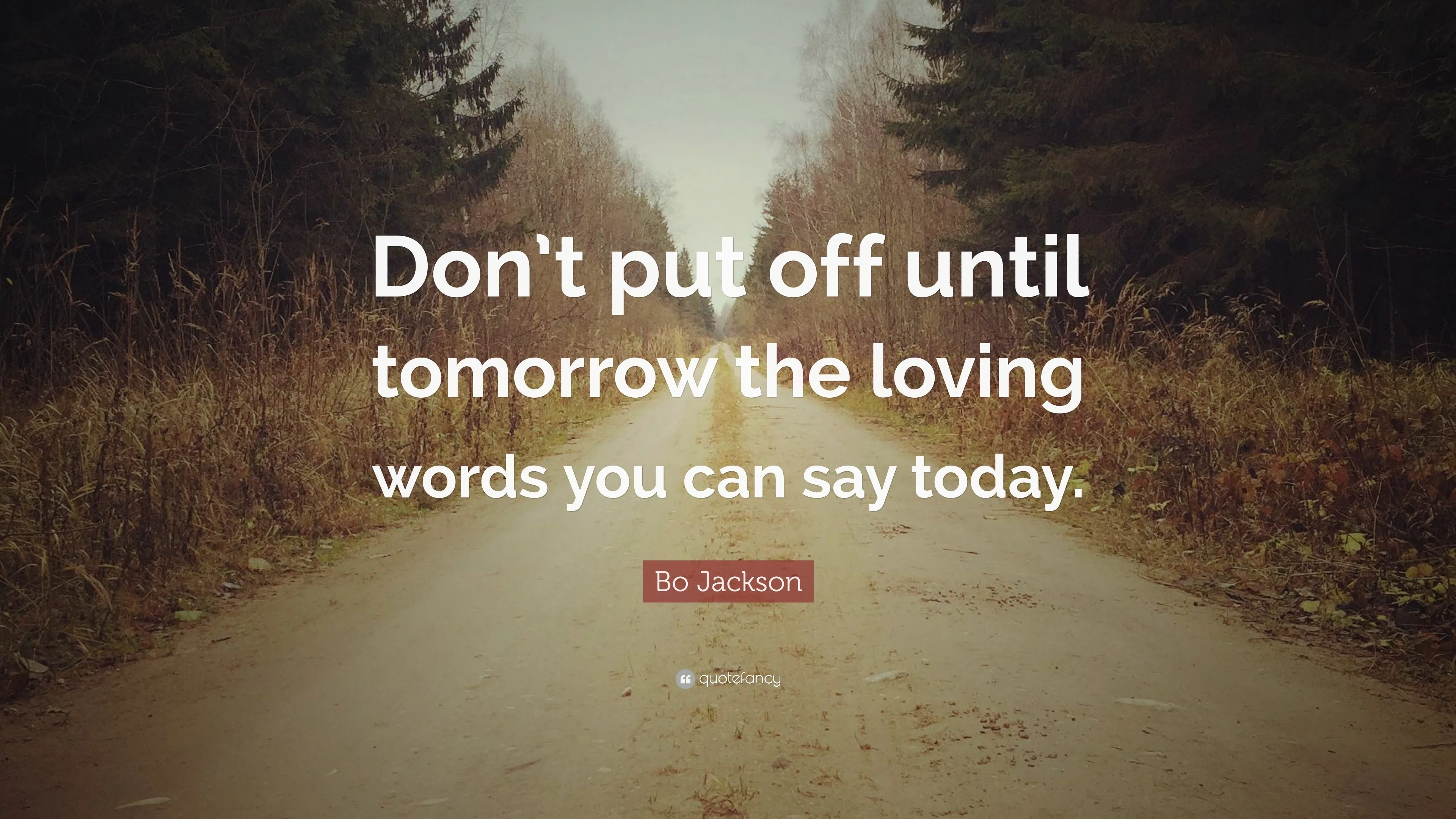 Bo Jackson Quote: “Don't put off until tomorrow the loving words you
