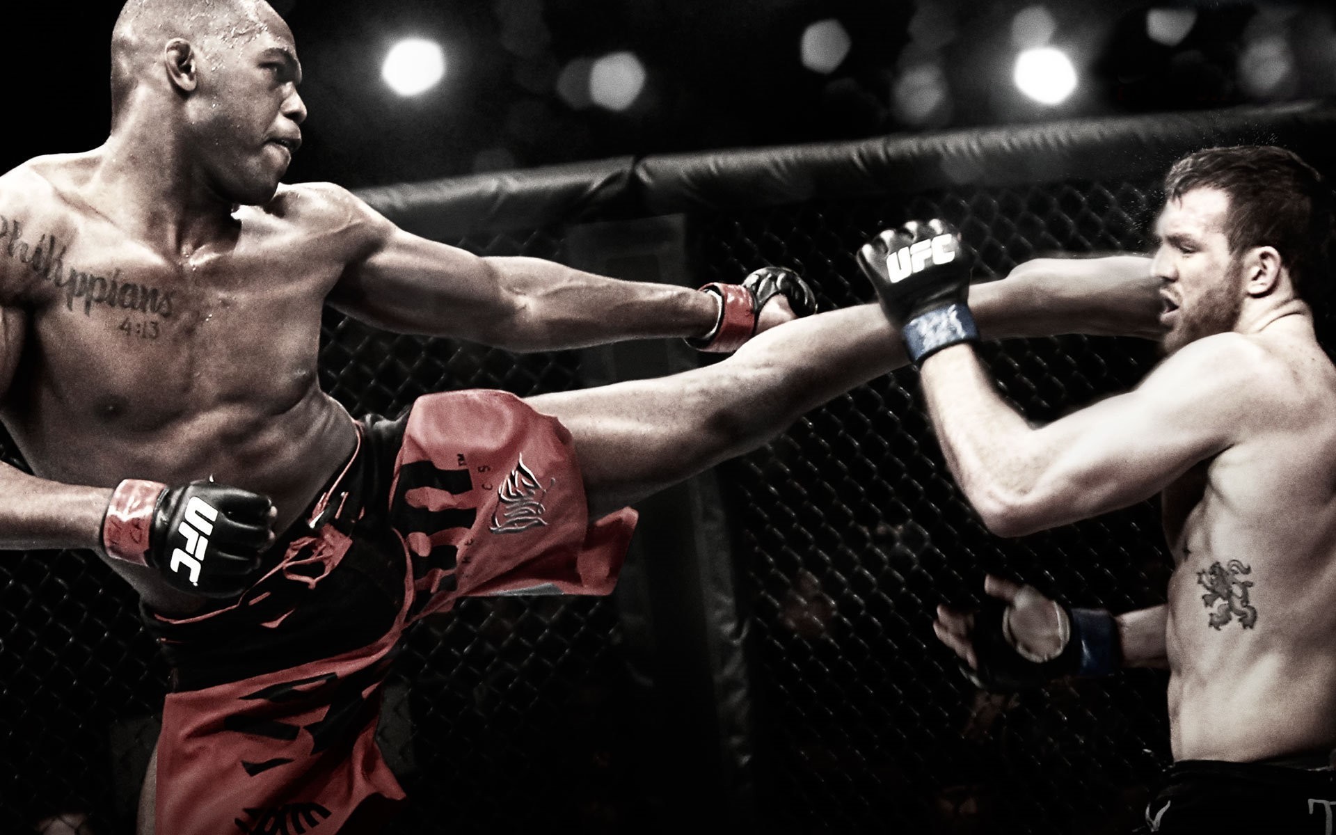 MMA Wallpapers