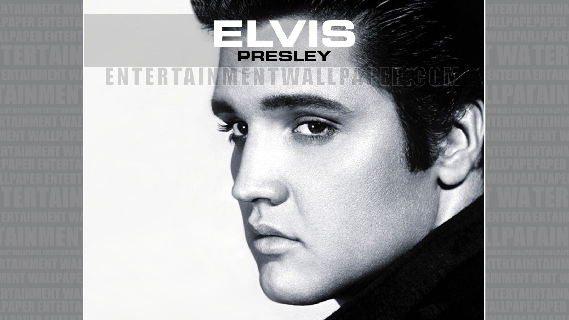 Elvis Presley Wallpaper – Original size, download now.
