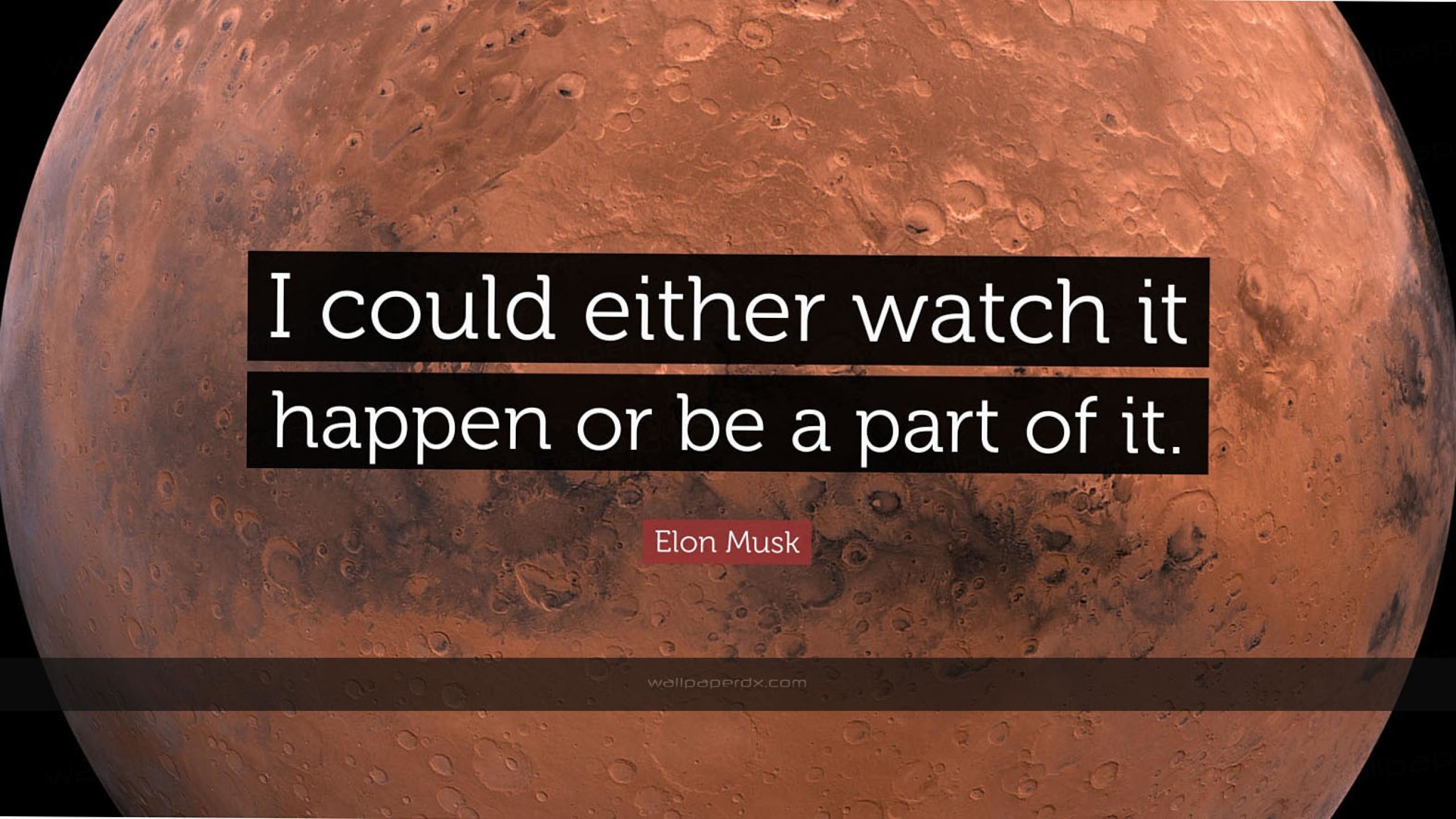 2341 elon musk quote i could either watch it happen or be a part of it hd wallpaper – 2560 x 1440