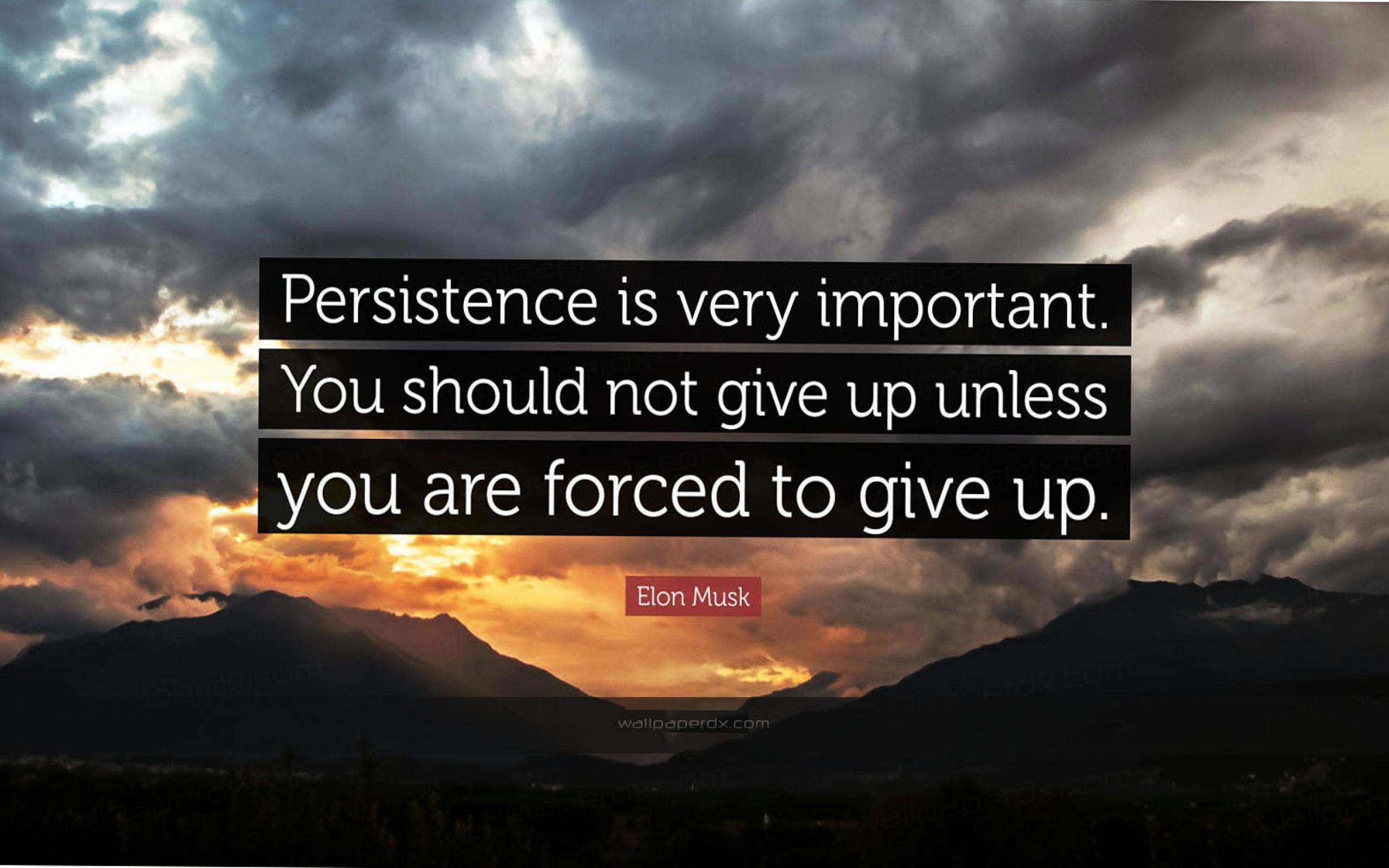 2320 elon musk quote persistence is very important you should not give hd  wallpaper – 2560 x 1600