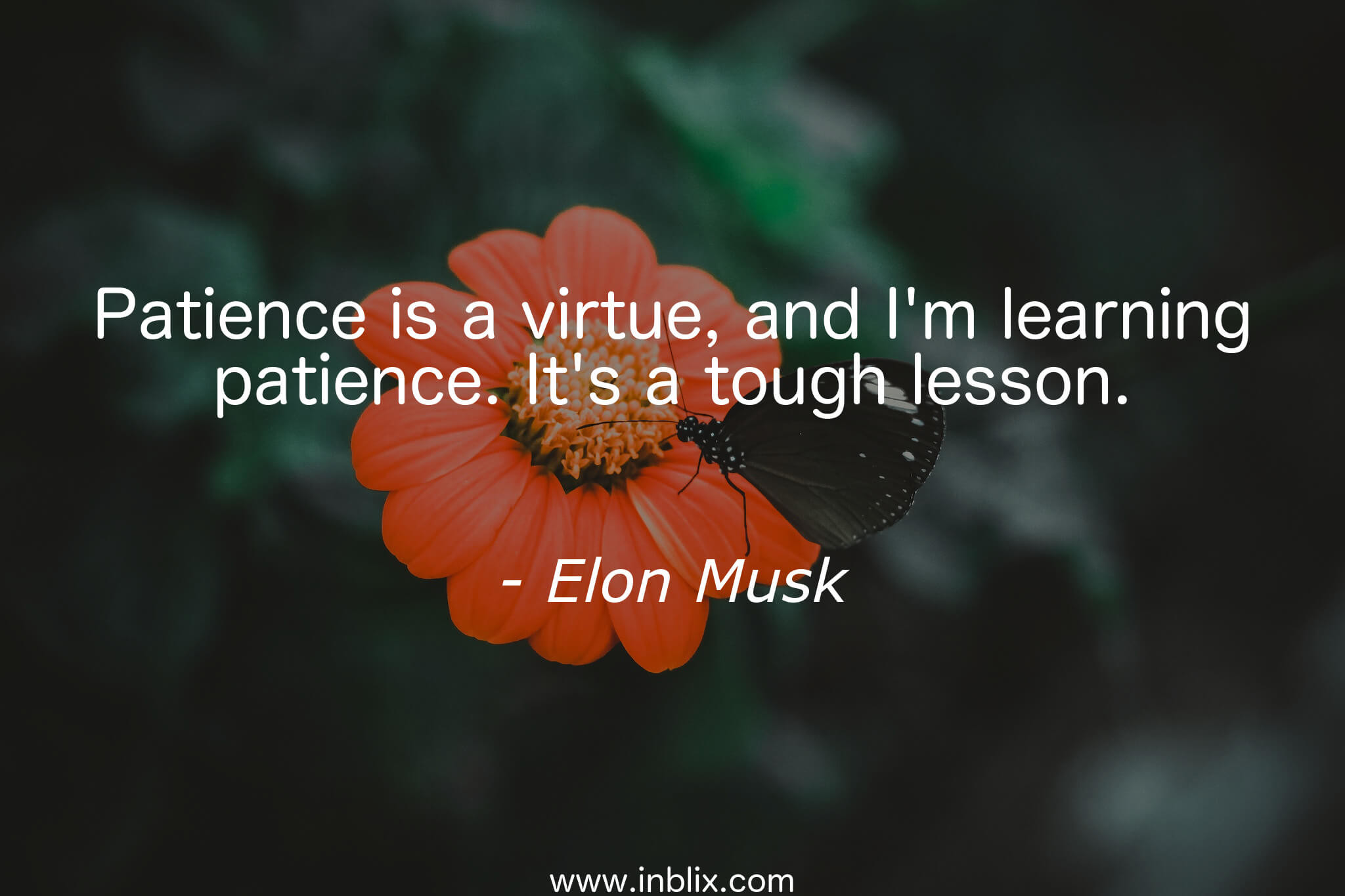 Patience is a virtue, and Im learning patience. Its a tough lesson