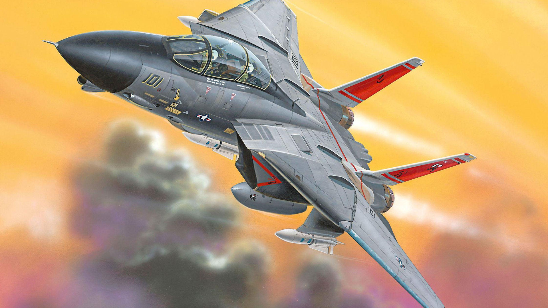 F 14 aviones de combate tomcat armas pilotos militares soldados vuelo sky air force 4 Tamaos