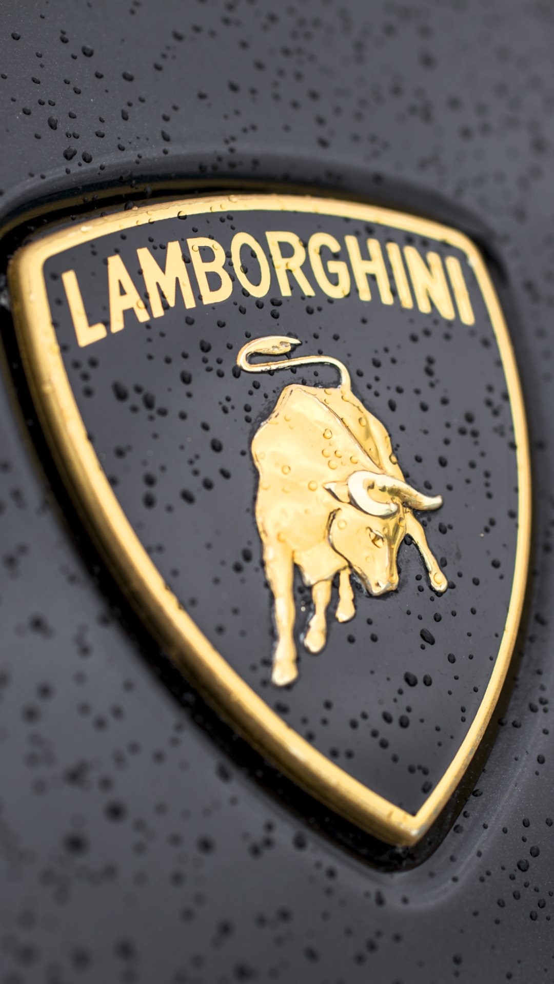 Lamborghini Logo Close-up iPhone 6 wallpaper