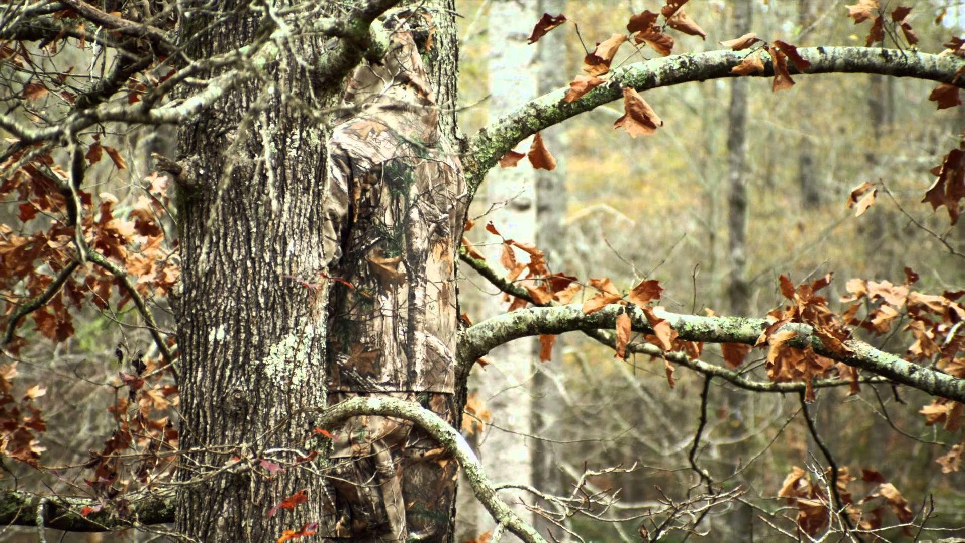Free download Realtree Camo Wallpaper Hd 60 realtree ap 948x711 for your  Desktop Mobile  Tablet  Explore 48 Camo Wallpaper  Camo Wallpapers  Cool Camo Wallpapers Camo Backgrounds