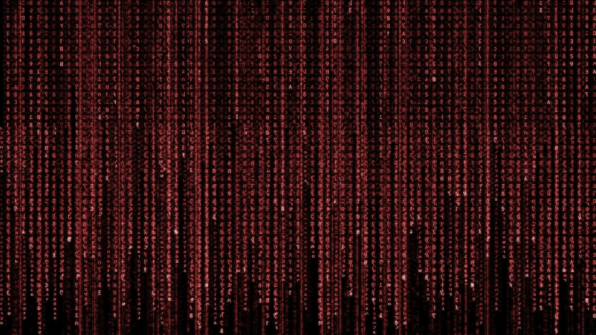 Animated Matrix Wallpaper Windows 10 WallpaperSafari