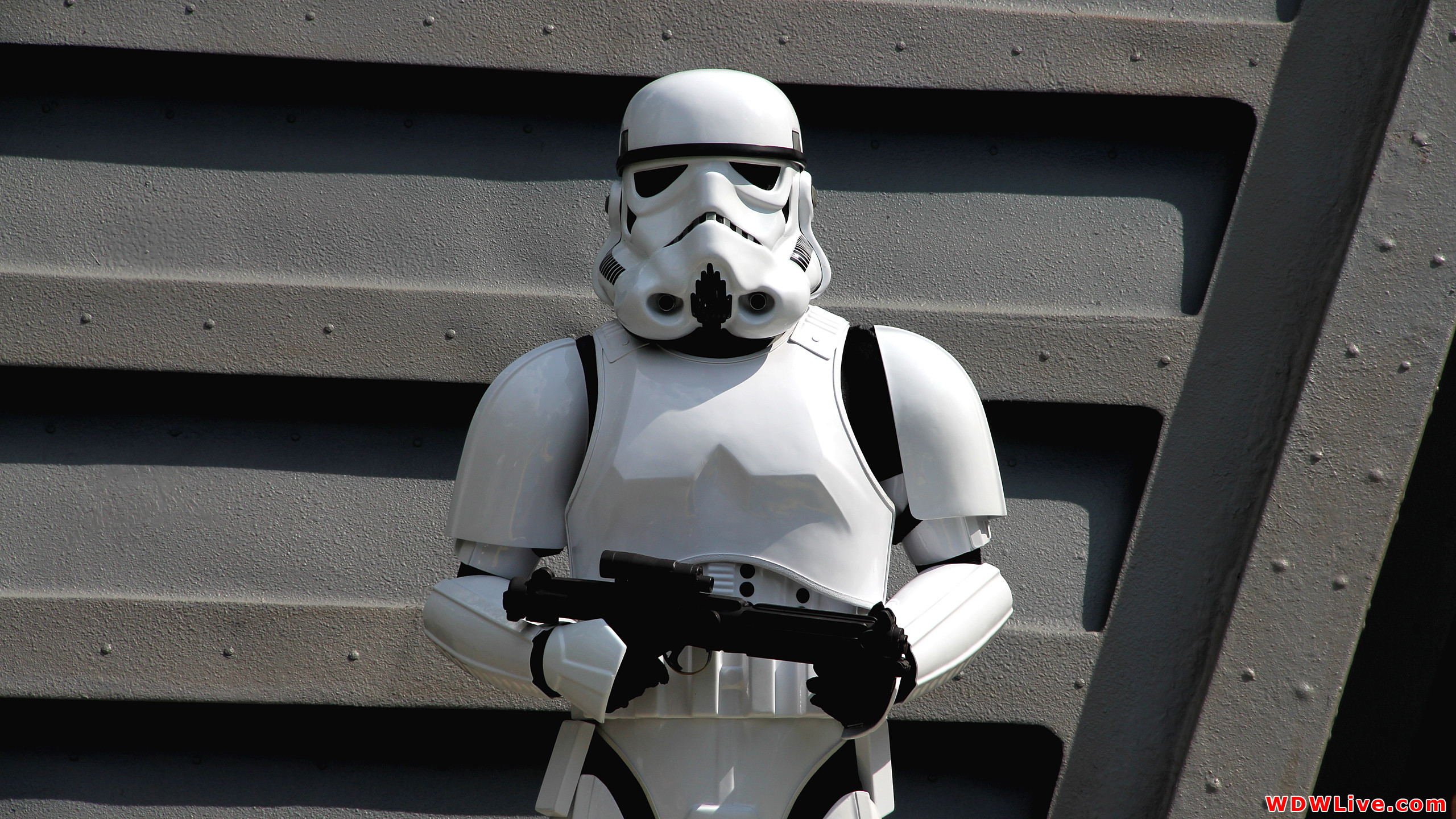 Star Wars Jedi Training Academy Imperial Stormtrooper standing guard