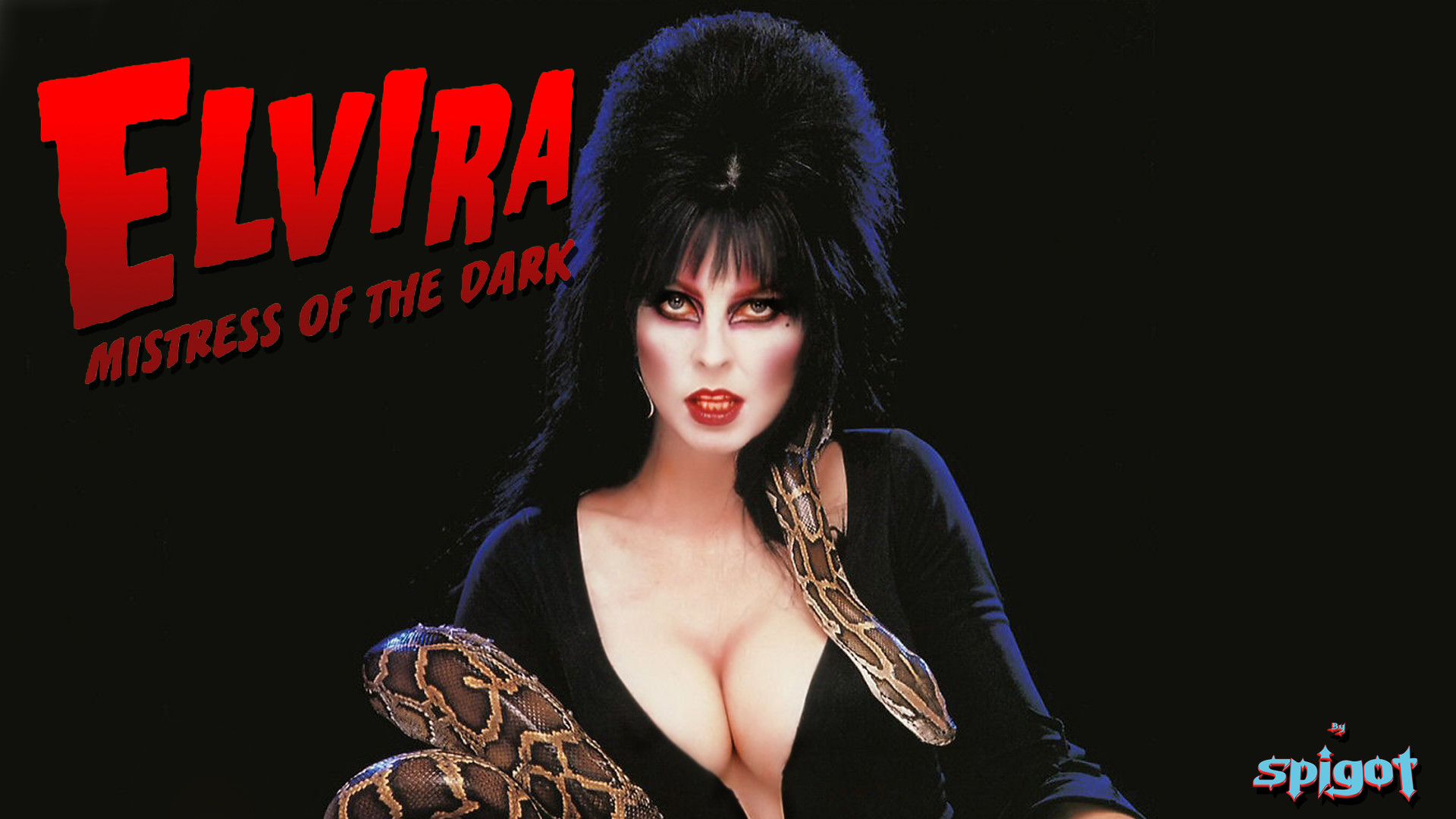 A fantastic Elvira Wallpaper #elvira #mistressofthedark #elvirawallpapers #elvirawallpaper Halloween WallpaperMistressCassandra PetersonDark